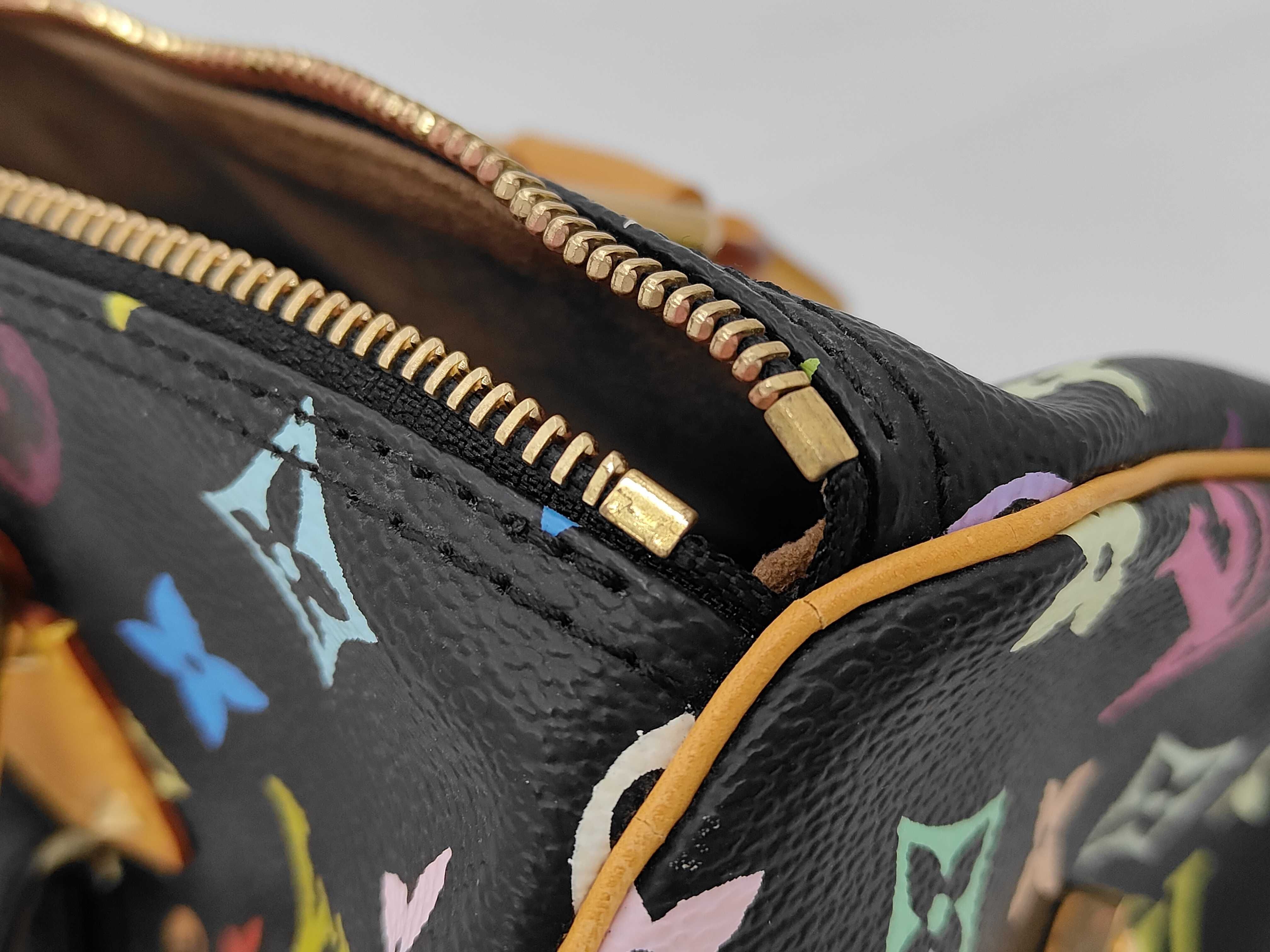 Speedy Multicolor Handbag — view 9
