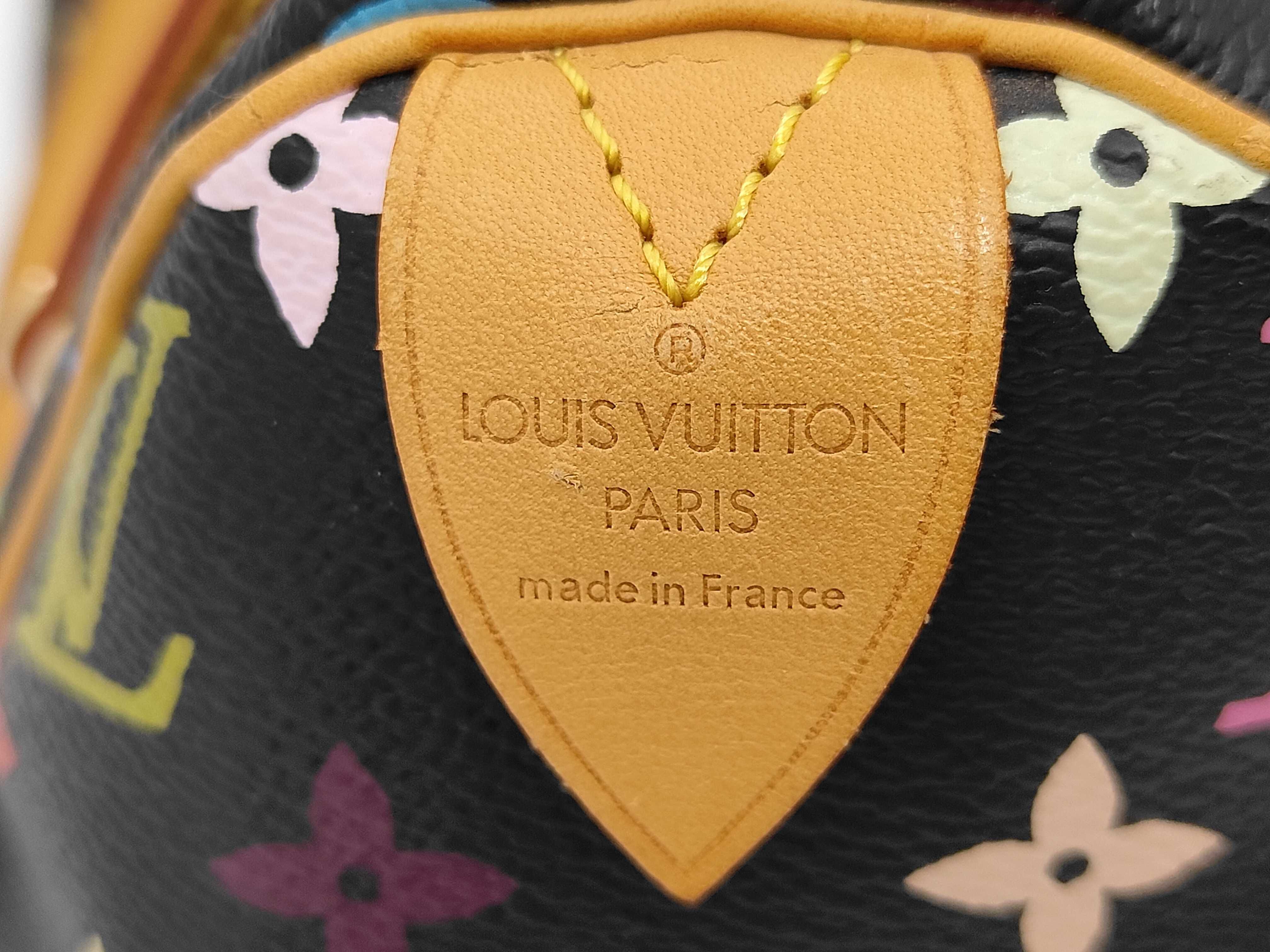 Speedy Multicolor Handbag — view 10