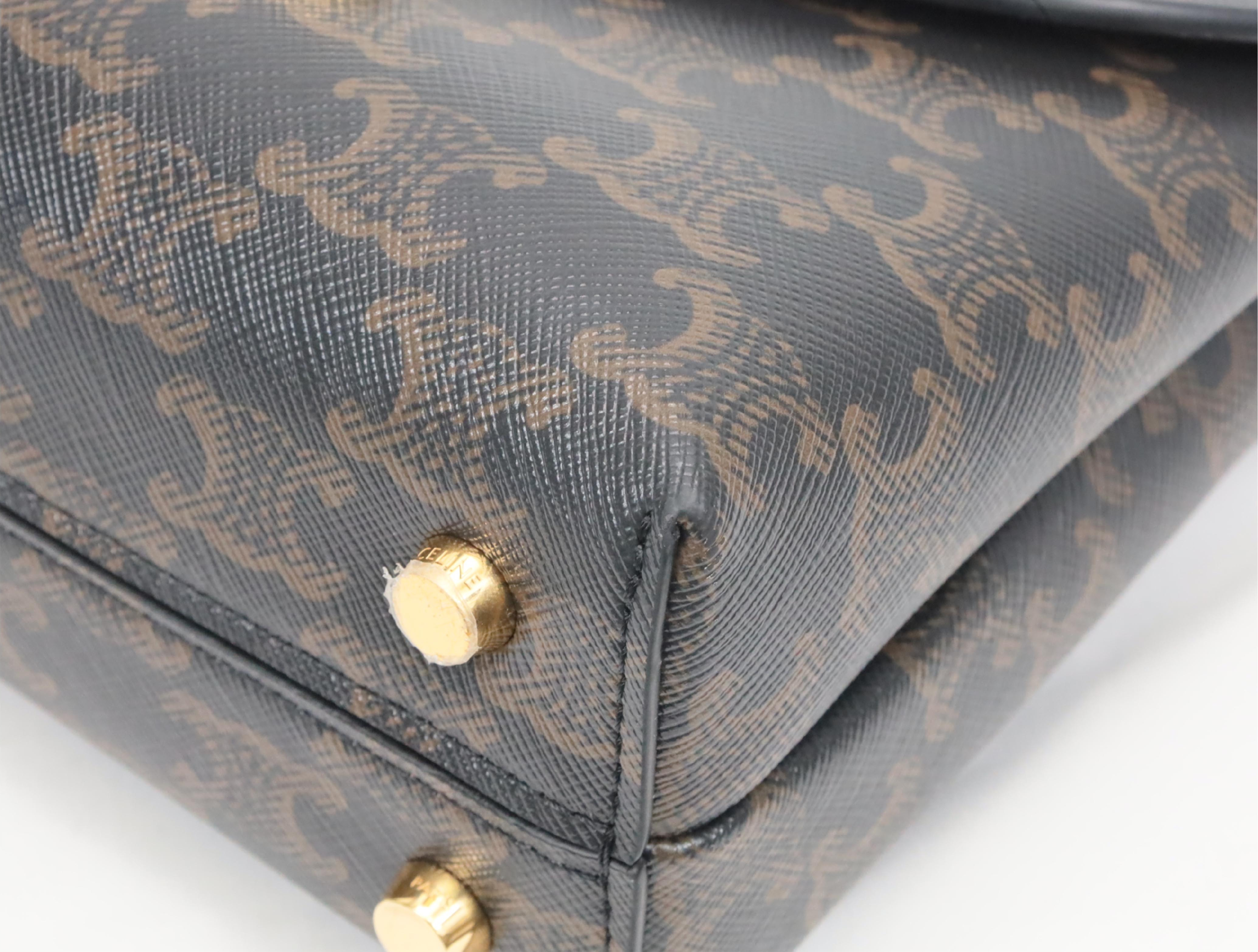 Triomphe Teen Nino Shoulder Bag — view 4