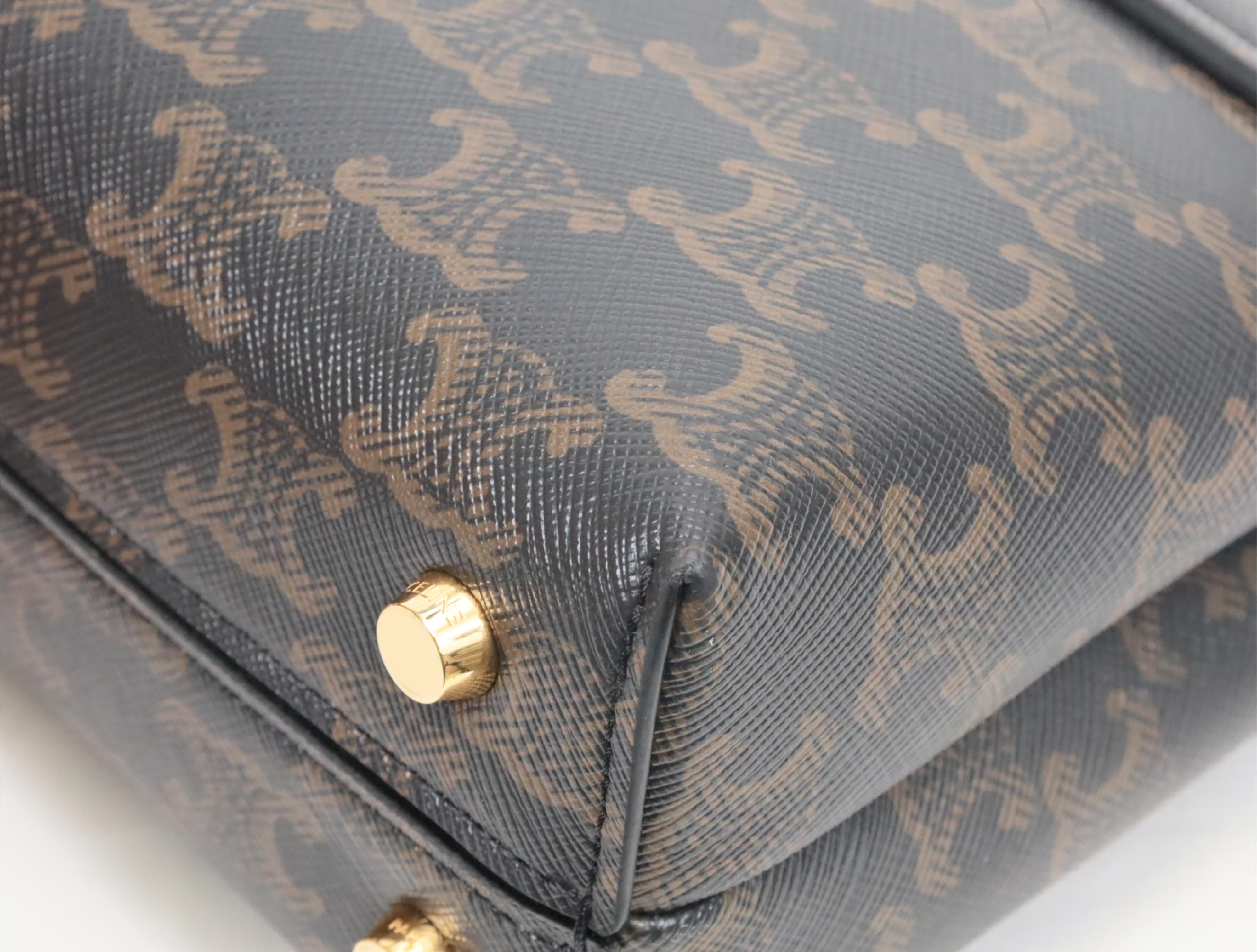 Triomphe Teen Nino Shoulder Bag — view 6