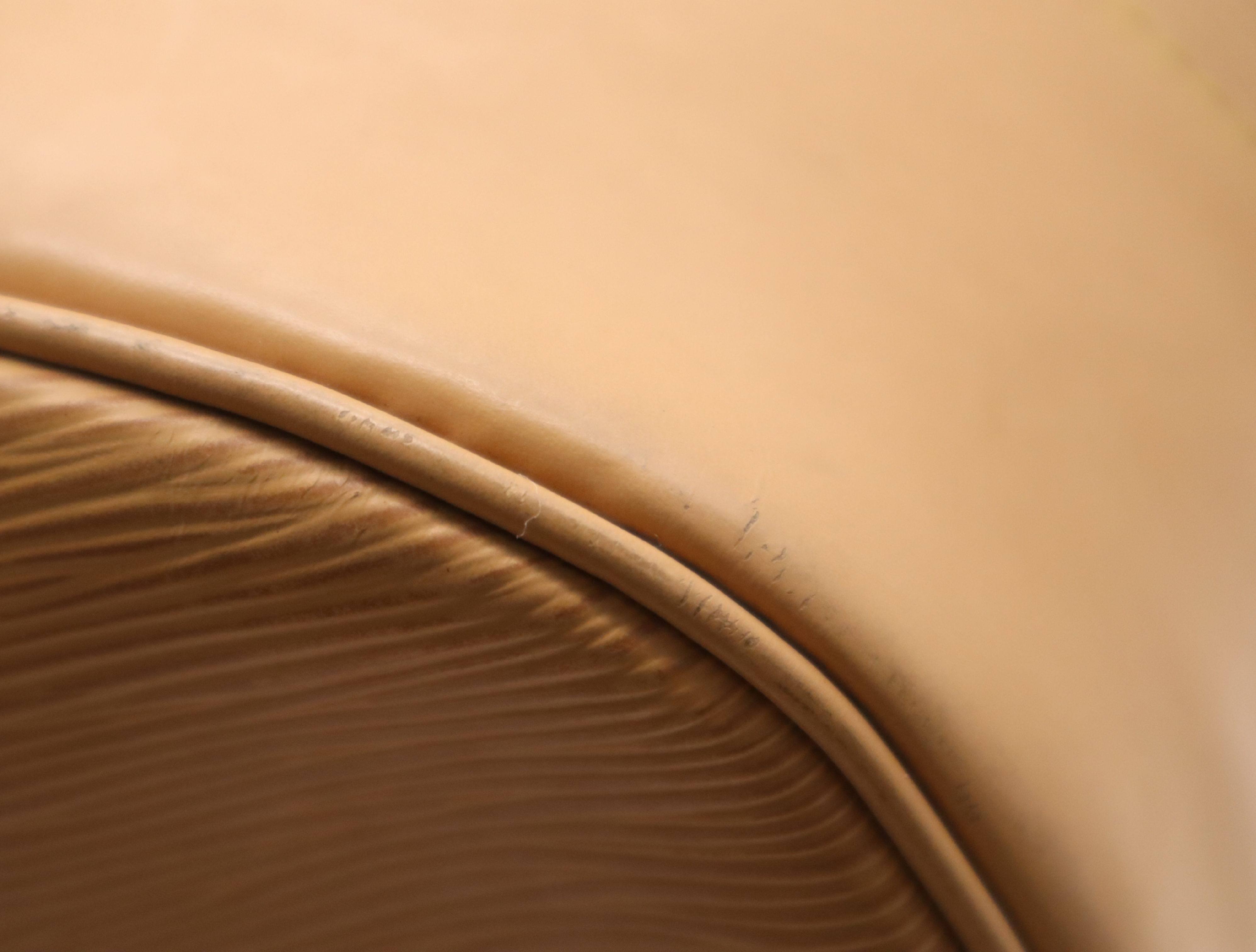 M43088 Epi Randonnée GM Zipangu Gold Shoulder Bag — view 7