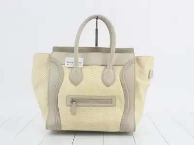 Python Luggage