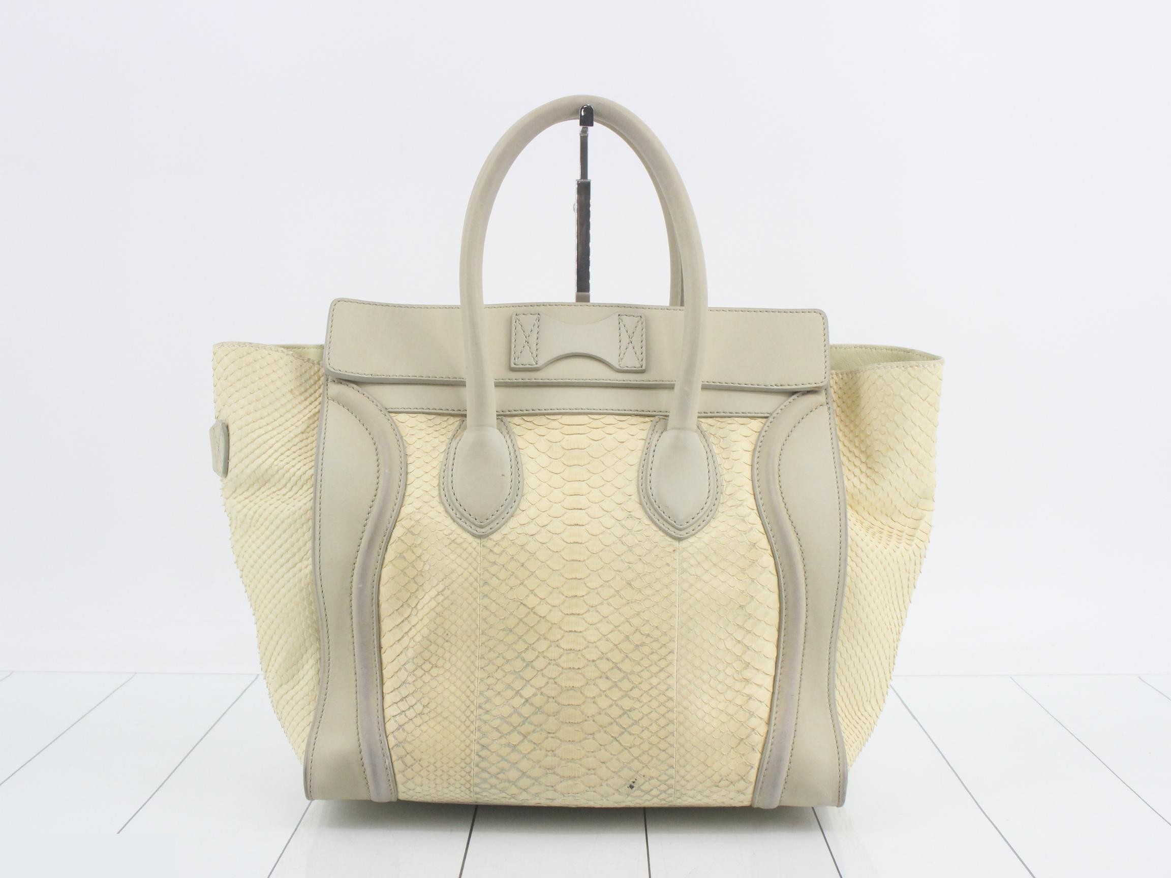 Python Luggage — view 2
