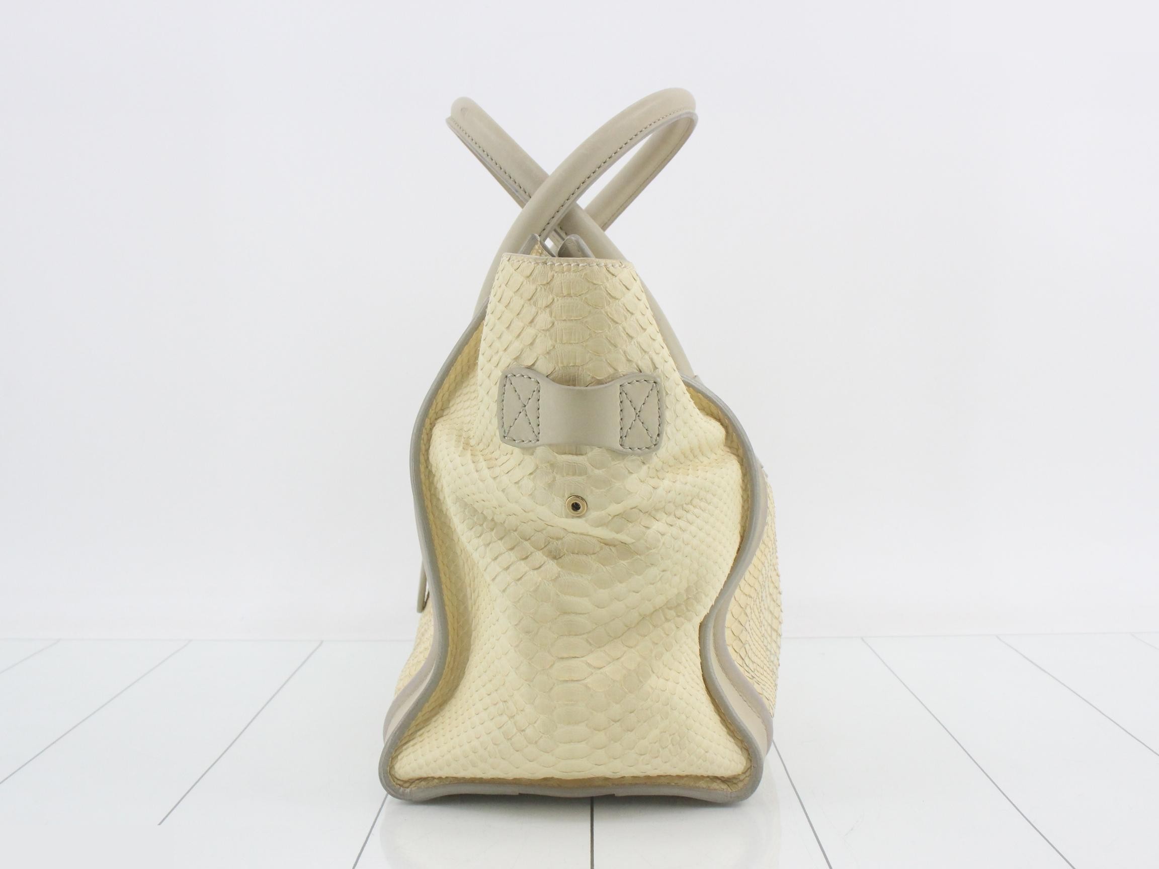 Python Luggage — view 3