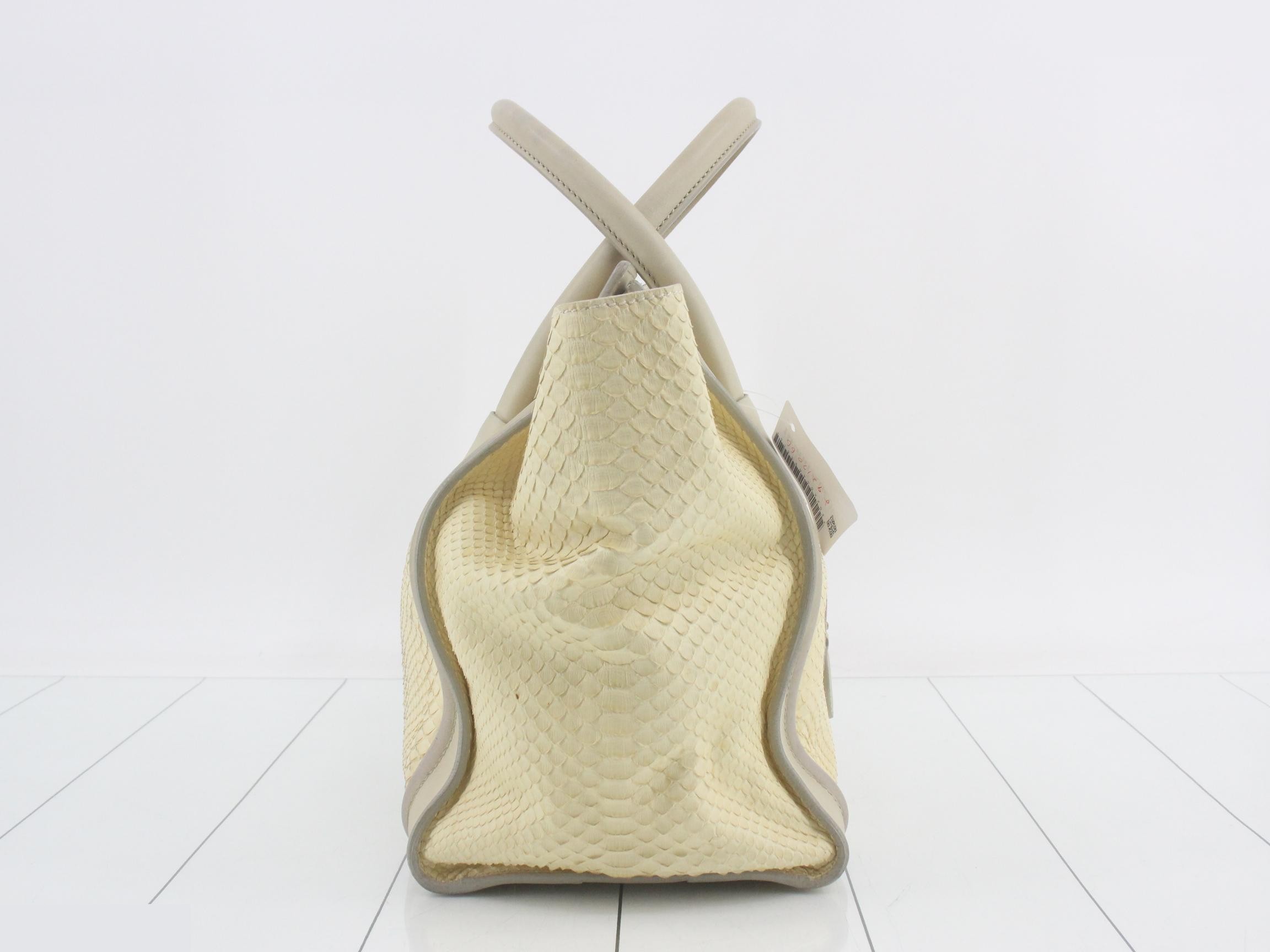 Python Luggage — view 4