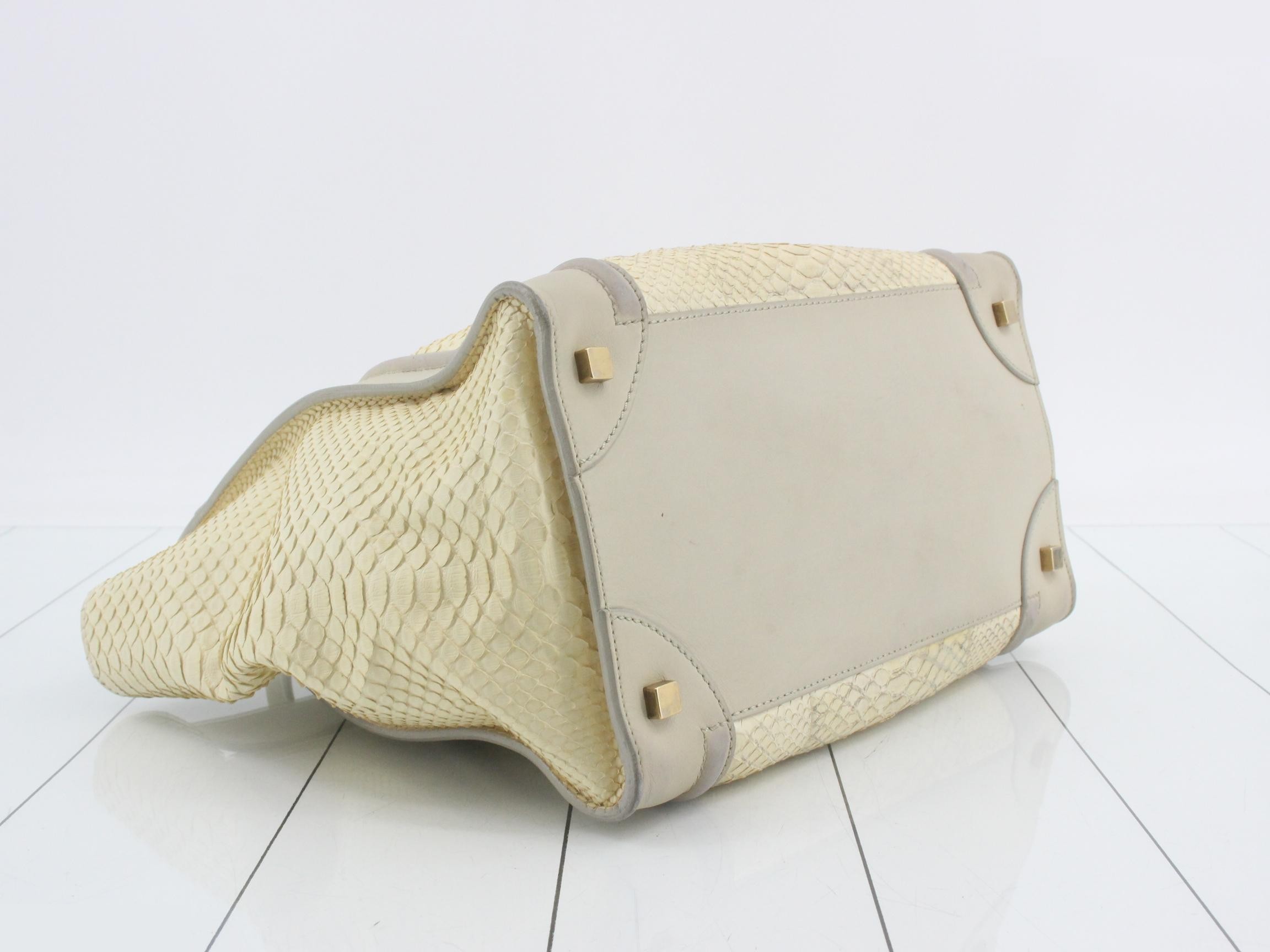 Python Luggage — view 5