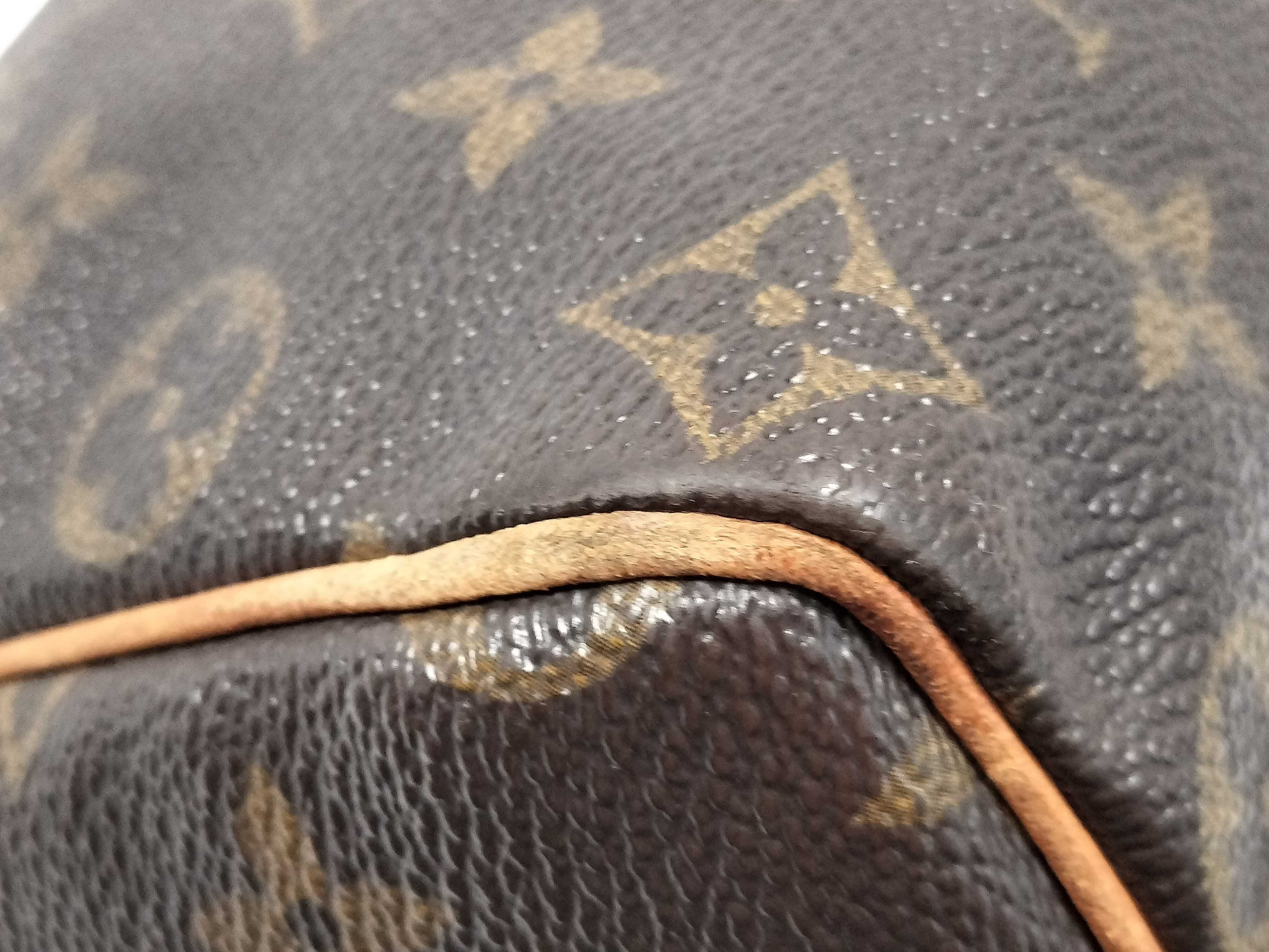 Monogram Speedy 25 Monogram Louis Vuitton 889 Handbag — view 6