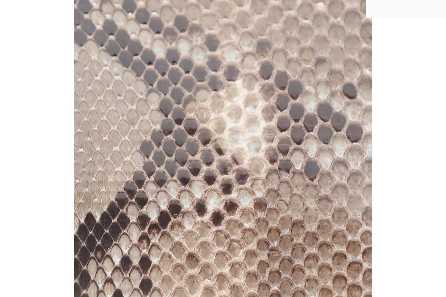 Peekaboo Python Leather Handbag — view 10