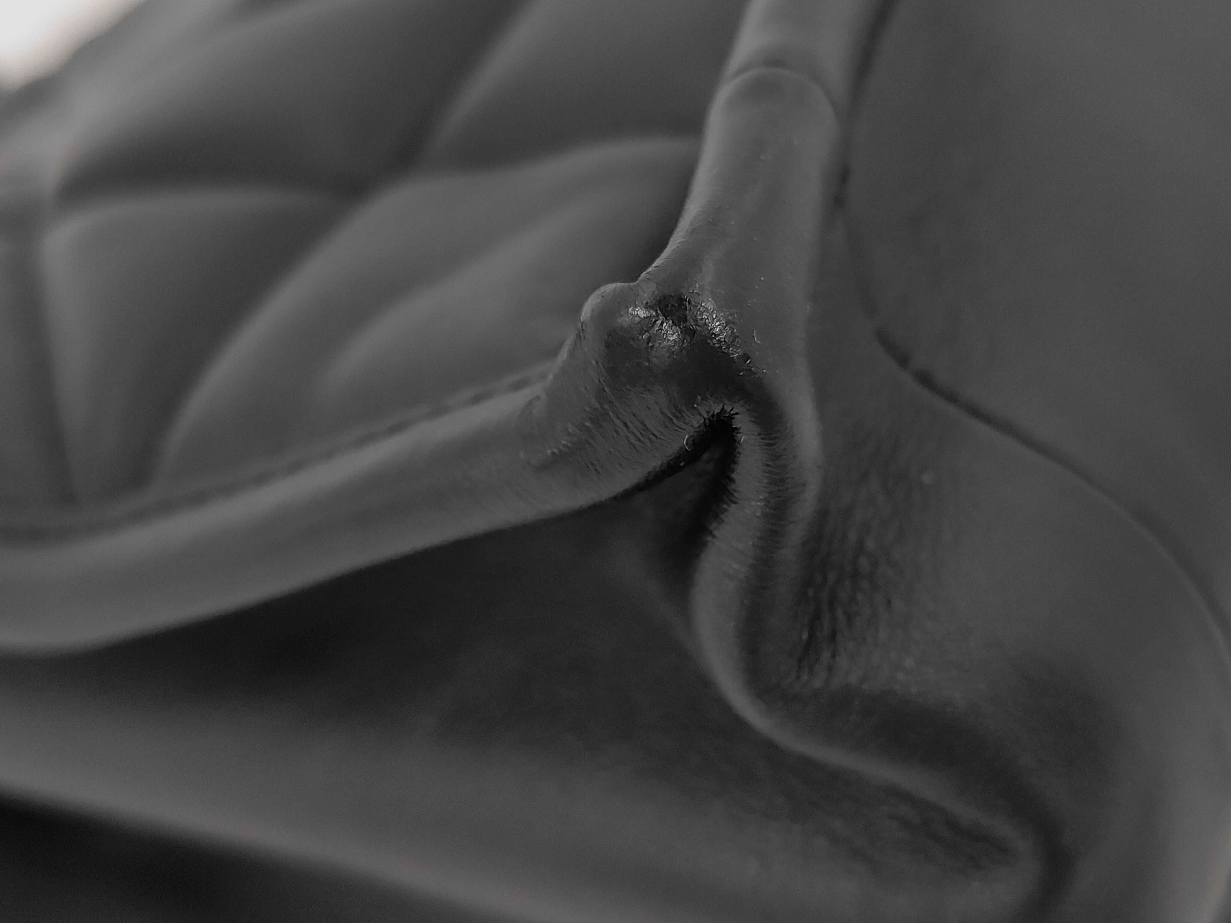 Essential Archicanage Tote Bag — view 3