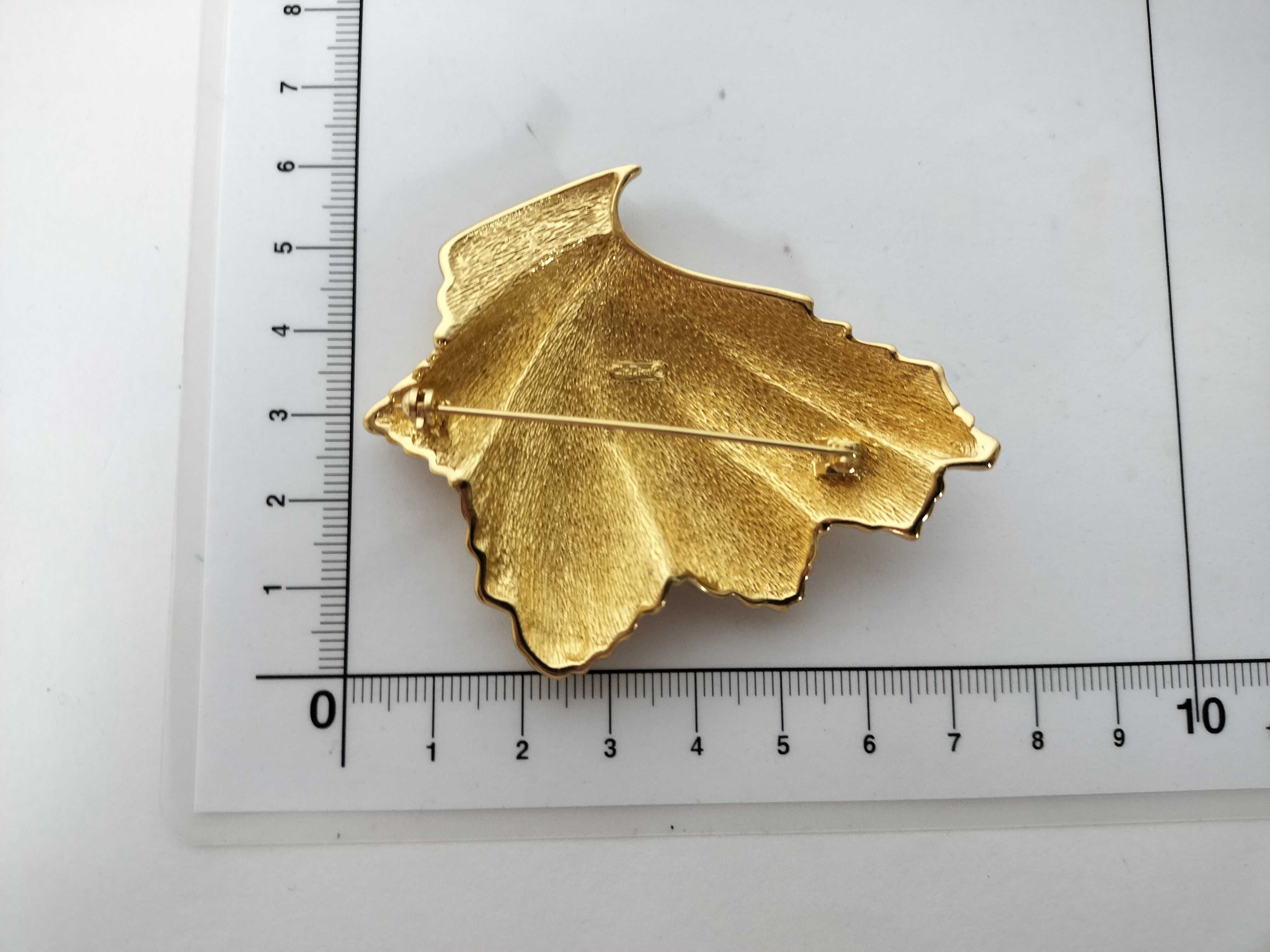 brooch, shell brooch — view 10