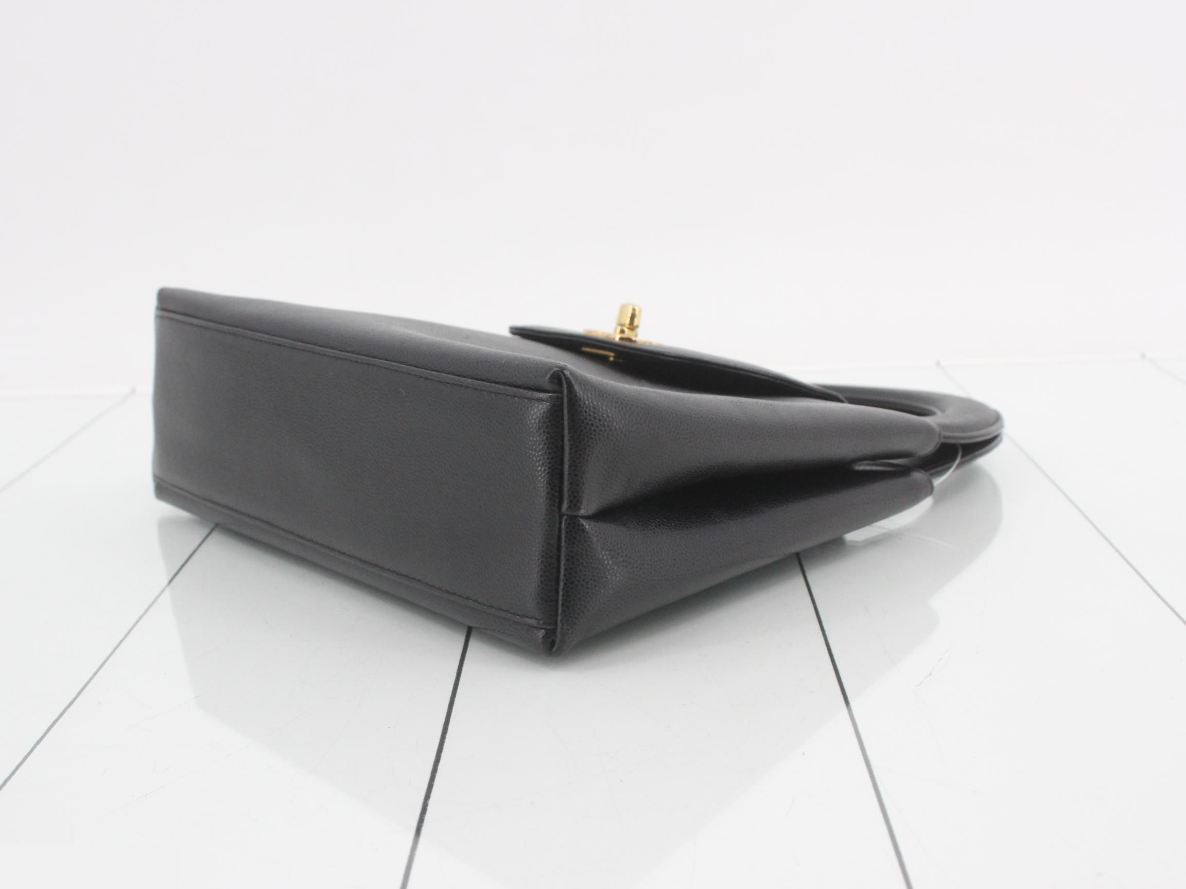 Caviar skin (bag) / handbag — view 6