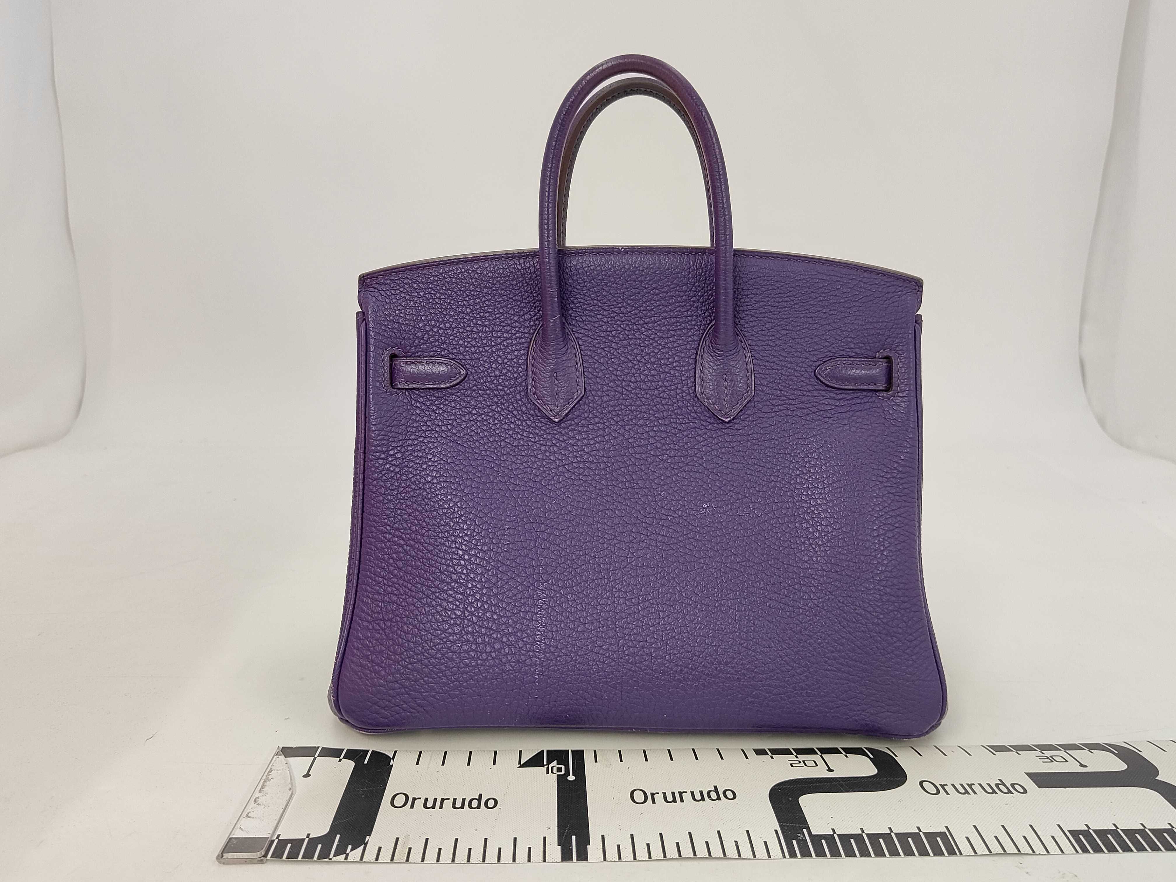 Birkin 25 Togo Iris Silver Hardware N Stamp Handbag — view 2