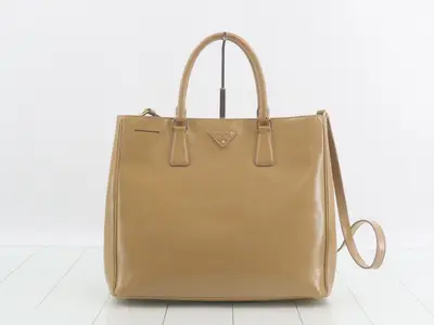 Galleria 2-Way Handbag