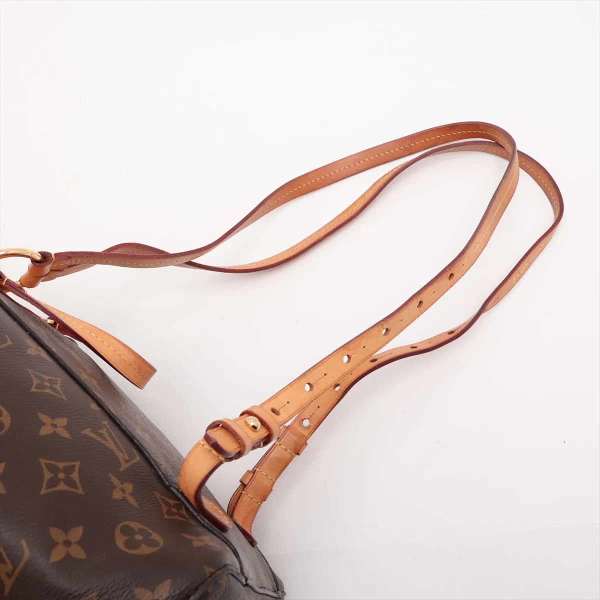 Monogram Montsouris M43431 SP0138 Brown (RFID detected) — view 6