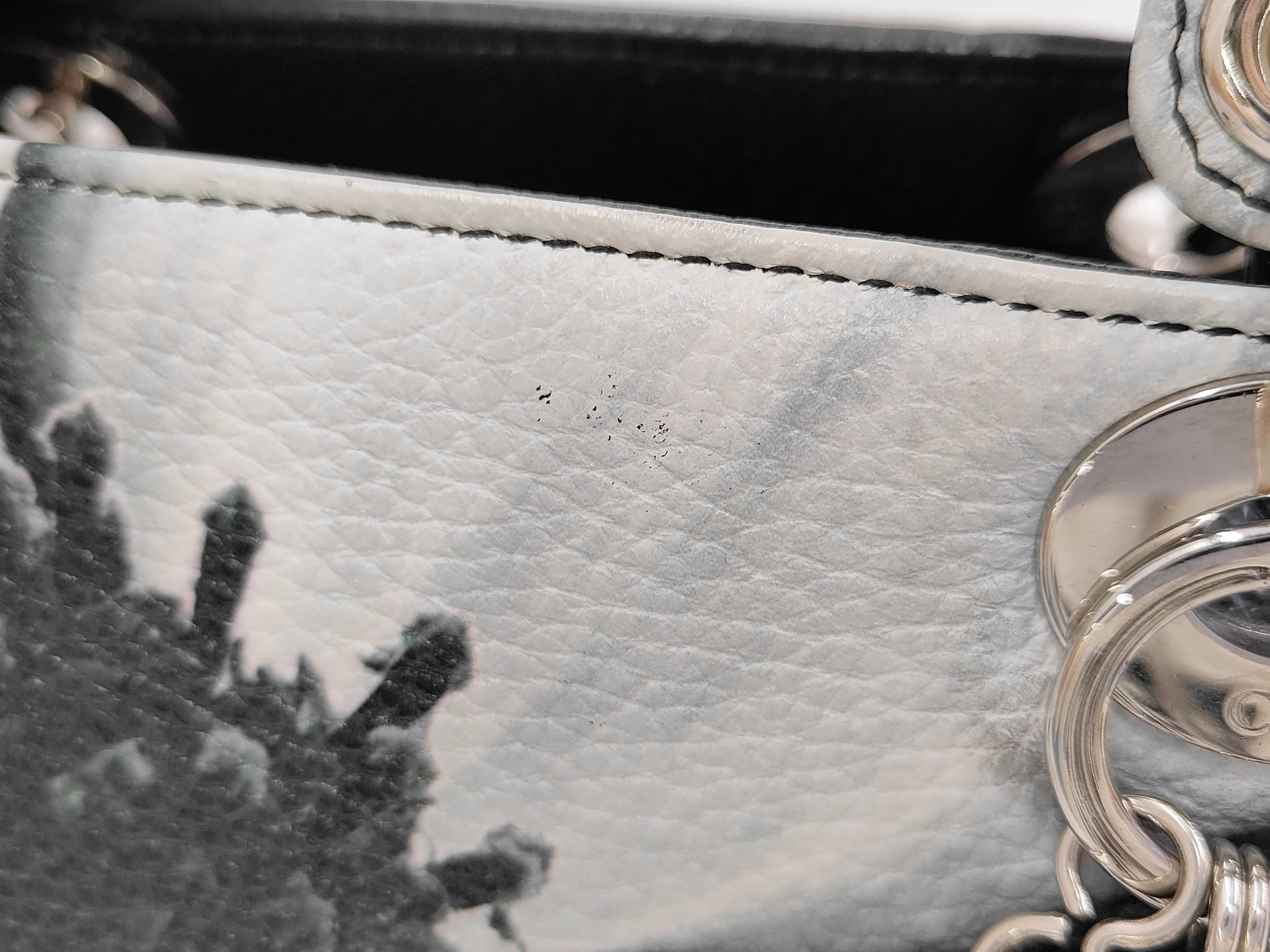 2014 Collection Deerskin Floral Print Medium Lady Dior Handbag — view 10
