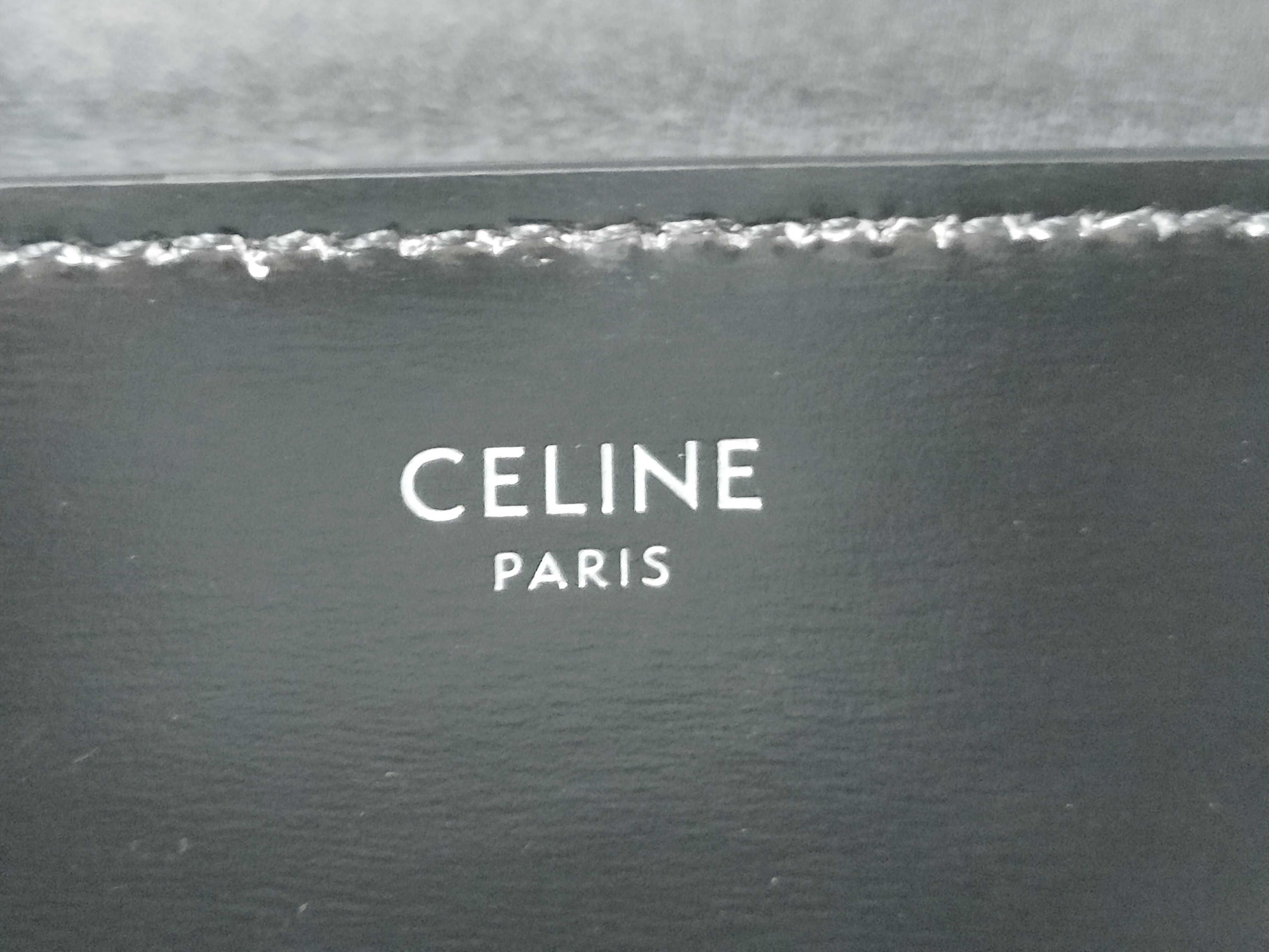 Triomphe Chain Shoulder Bag, Black with Silver Hardware, Polished Calfskin Leather. — view 12