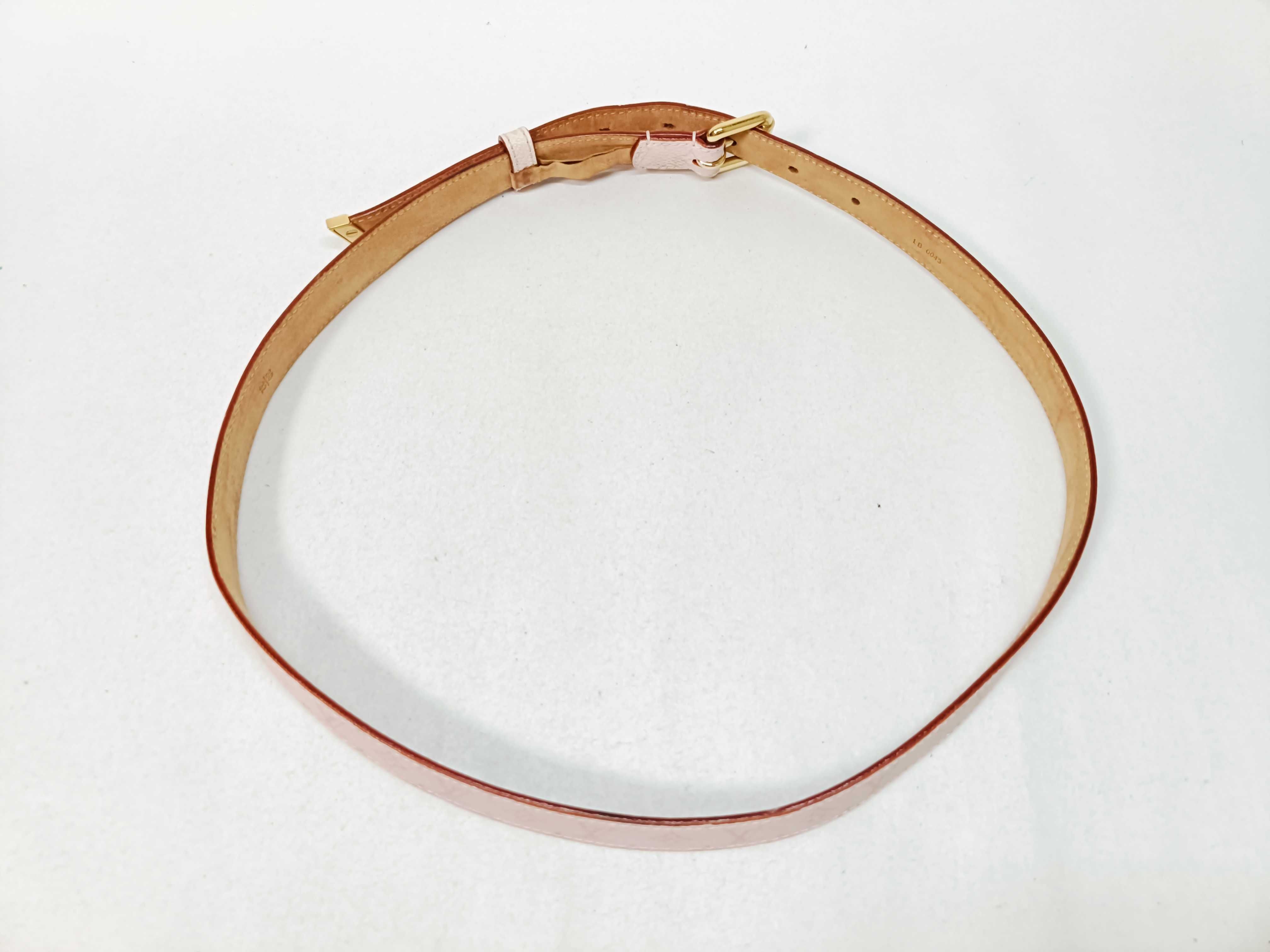 Limited Edition Belt M9273 — view 3