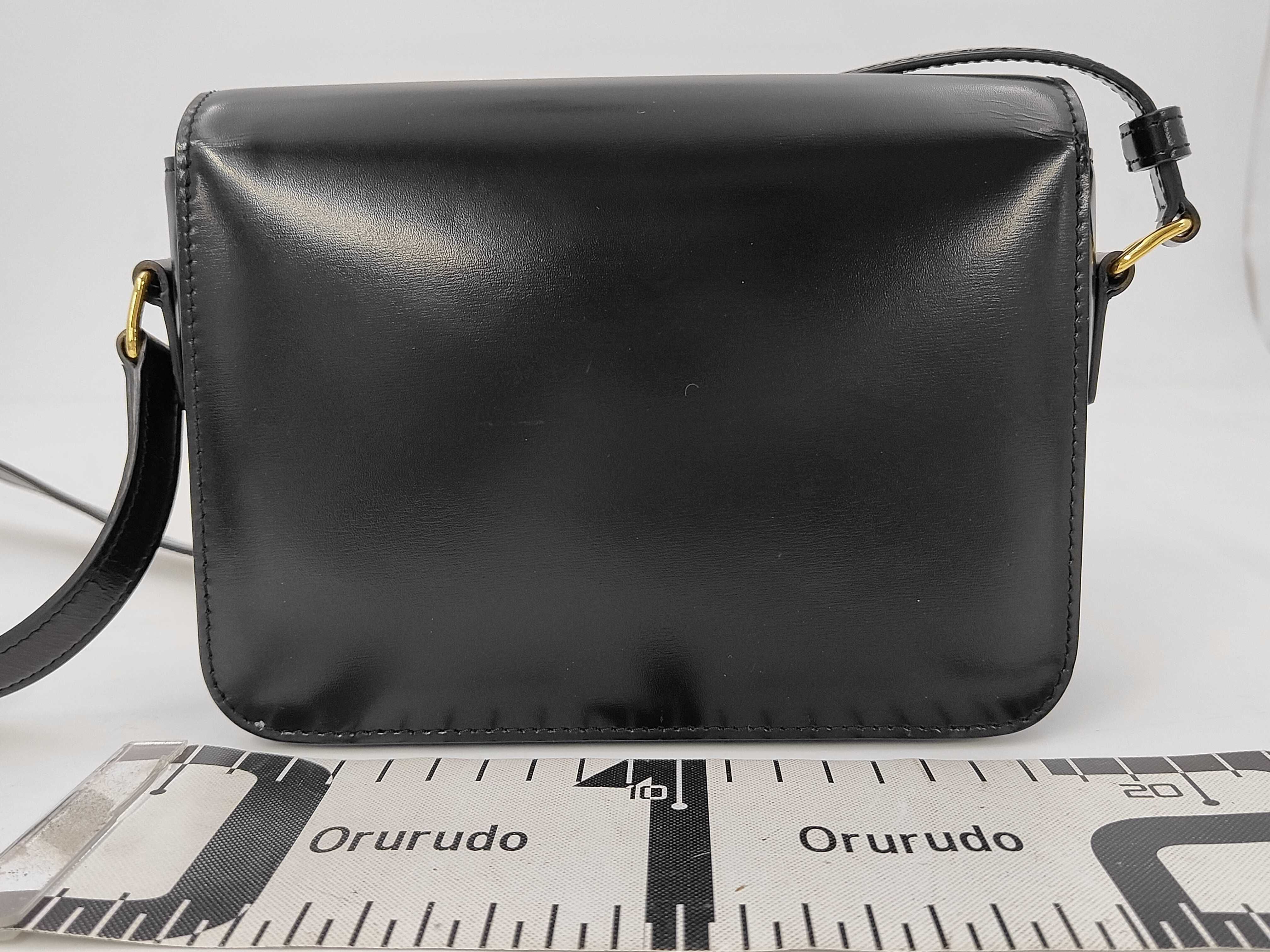 Triomphe Calf Leather Shoulder Bag, Black with Gold Hardware — view 2