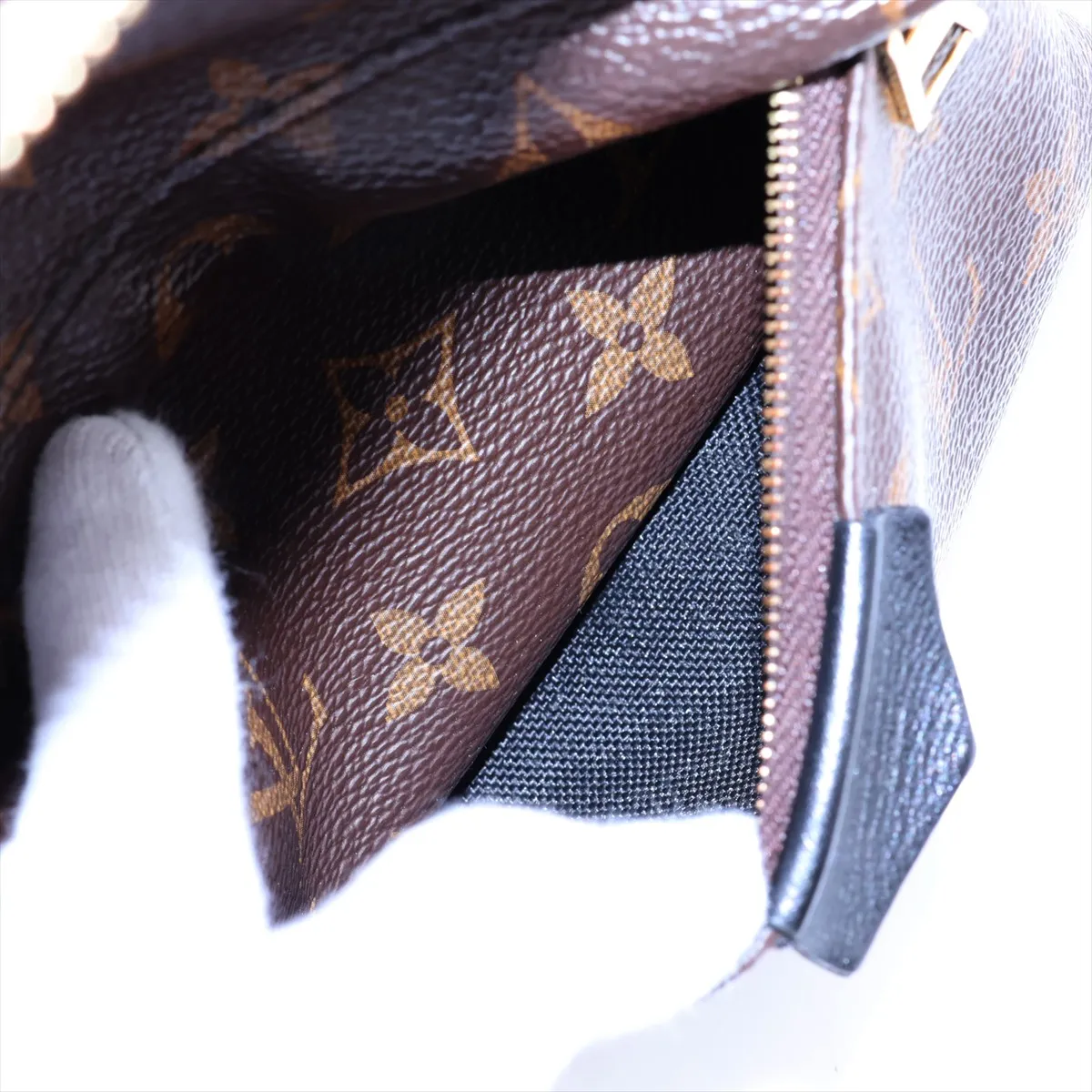 Monogram Palm Springs Backpack PM M41560 FL0220 Brown — view 9