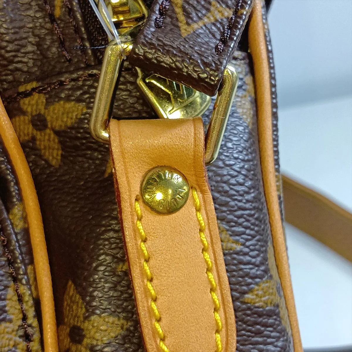 Monogram Amazon M45236 AR0033 Brown — view 11