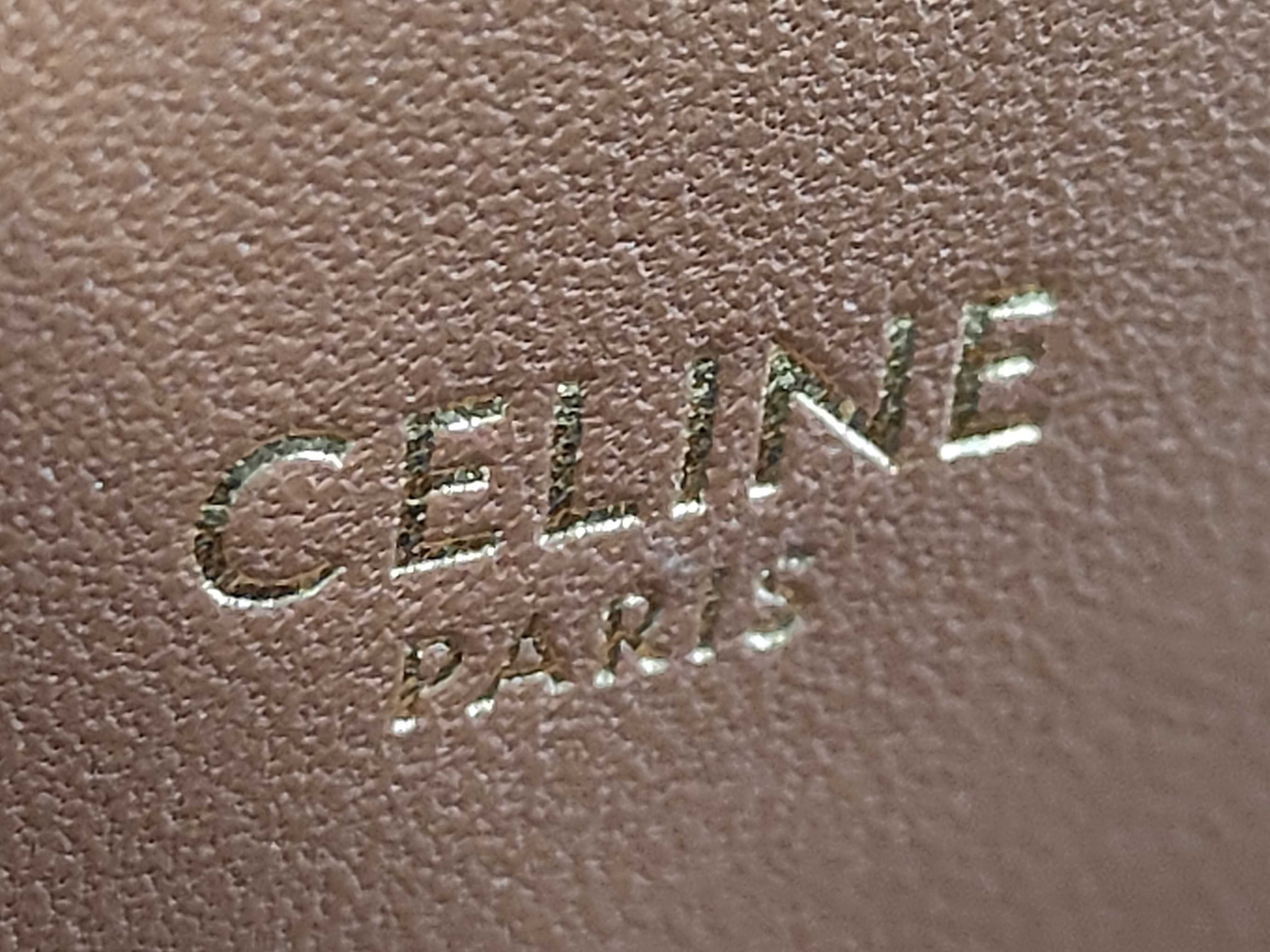 Triomphe Shoulder Bag — view 9