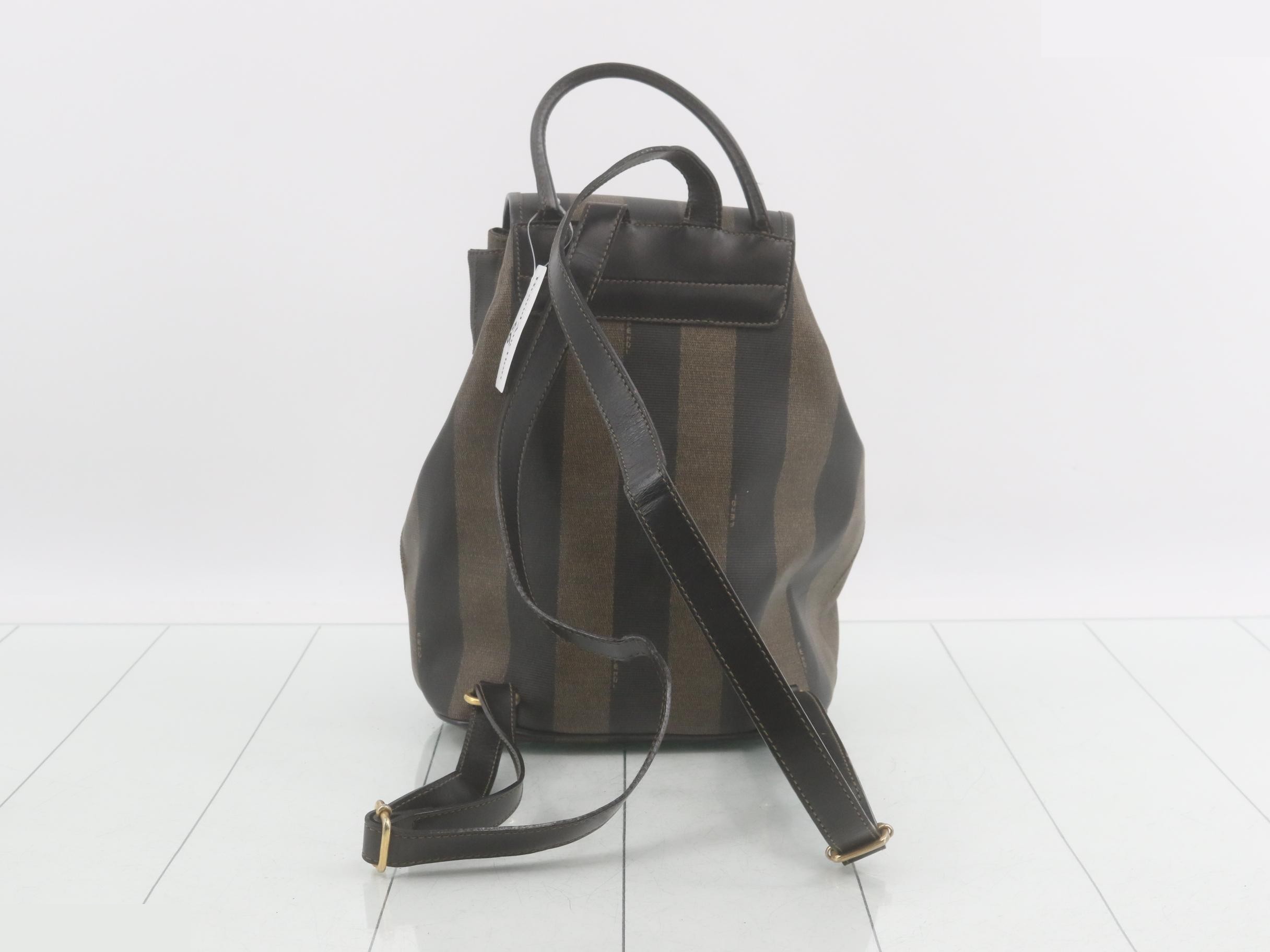Pecan PVC Backpack — view 2