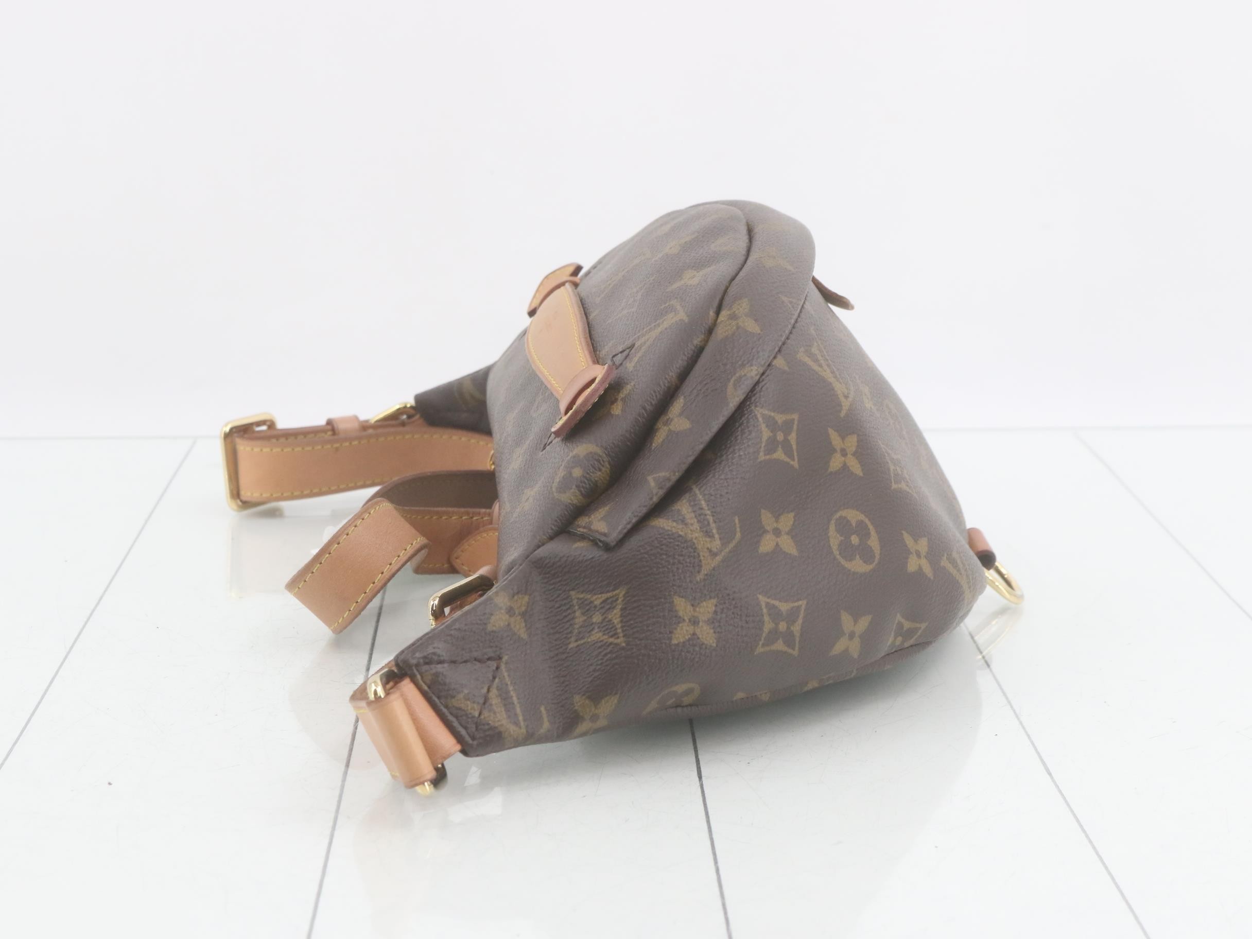 Monogram Bum Bag, Waist Bag, Shoulder Bag — view 4