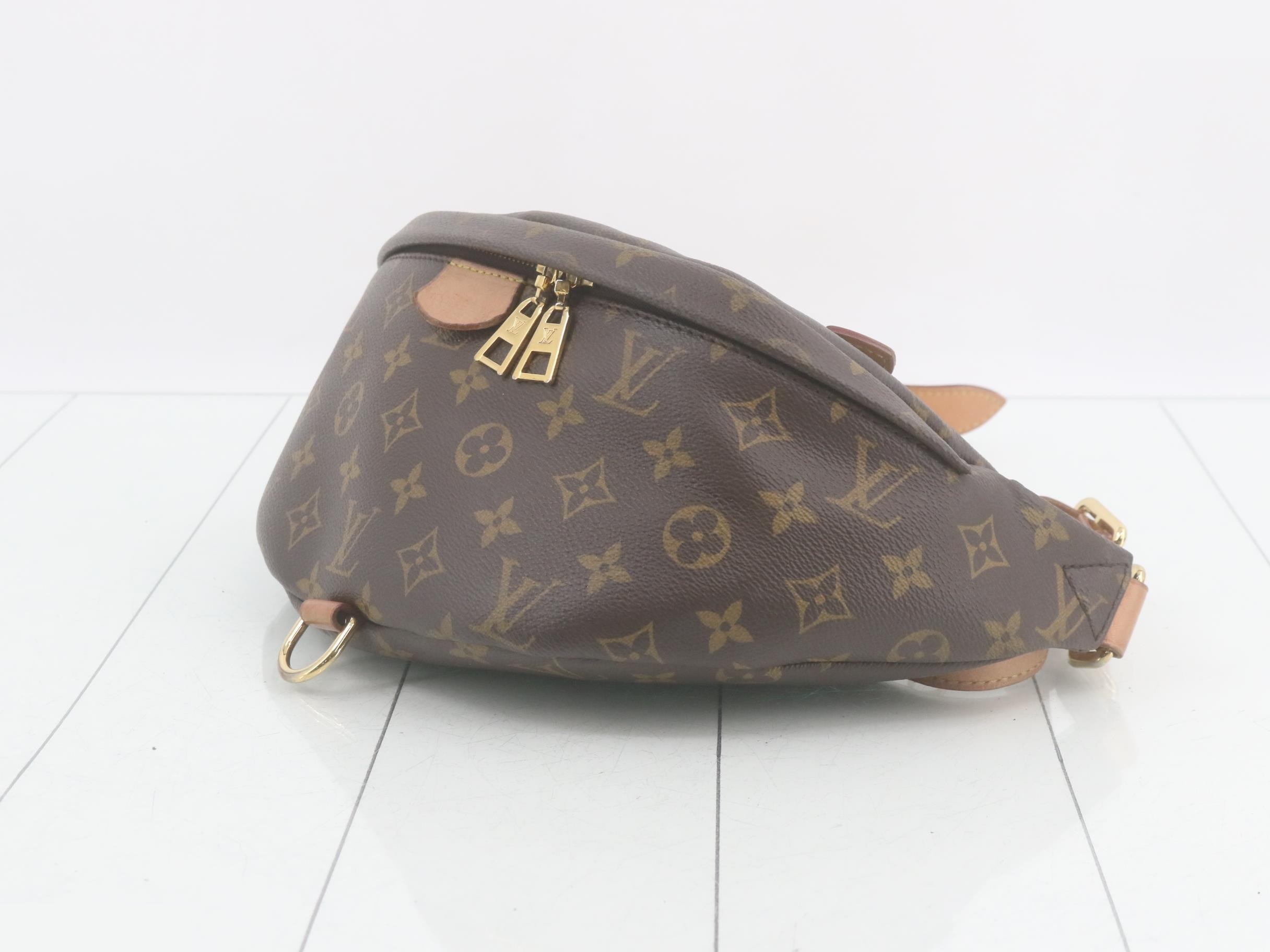 Monogram Bum Bag, Waist Bag, Shoulder Bag — view 6
