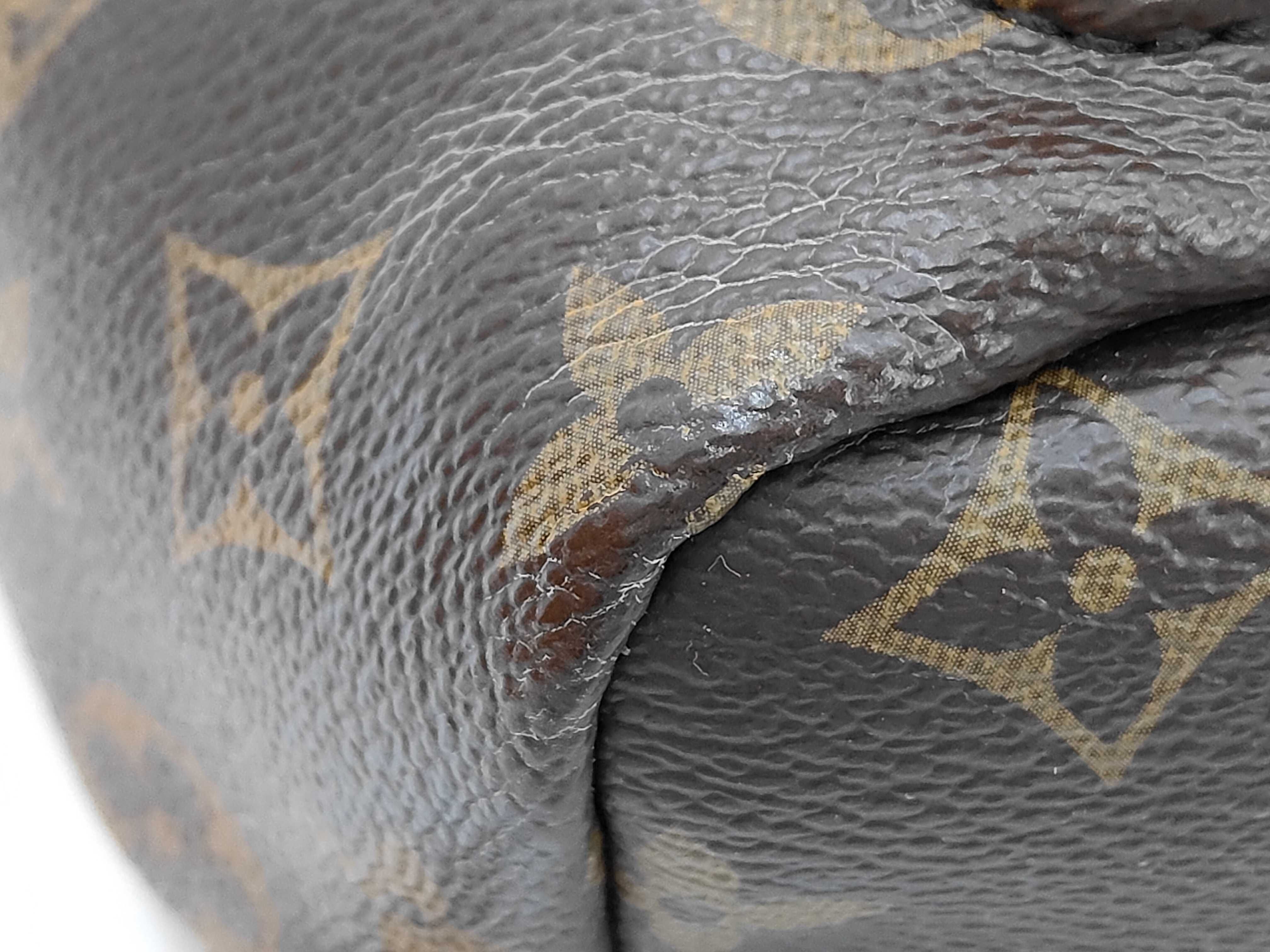 Monogram Reverse Springs Backpack PM Rucksack — view 6