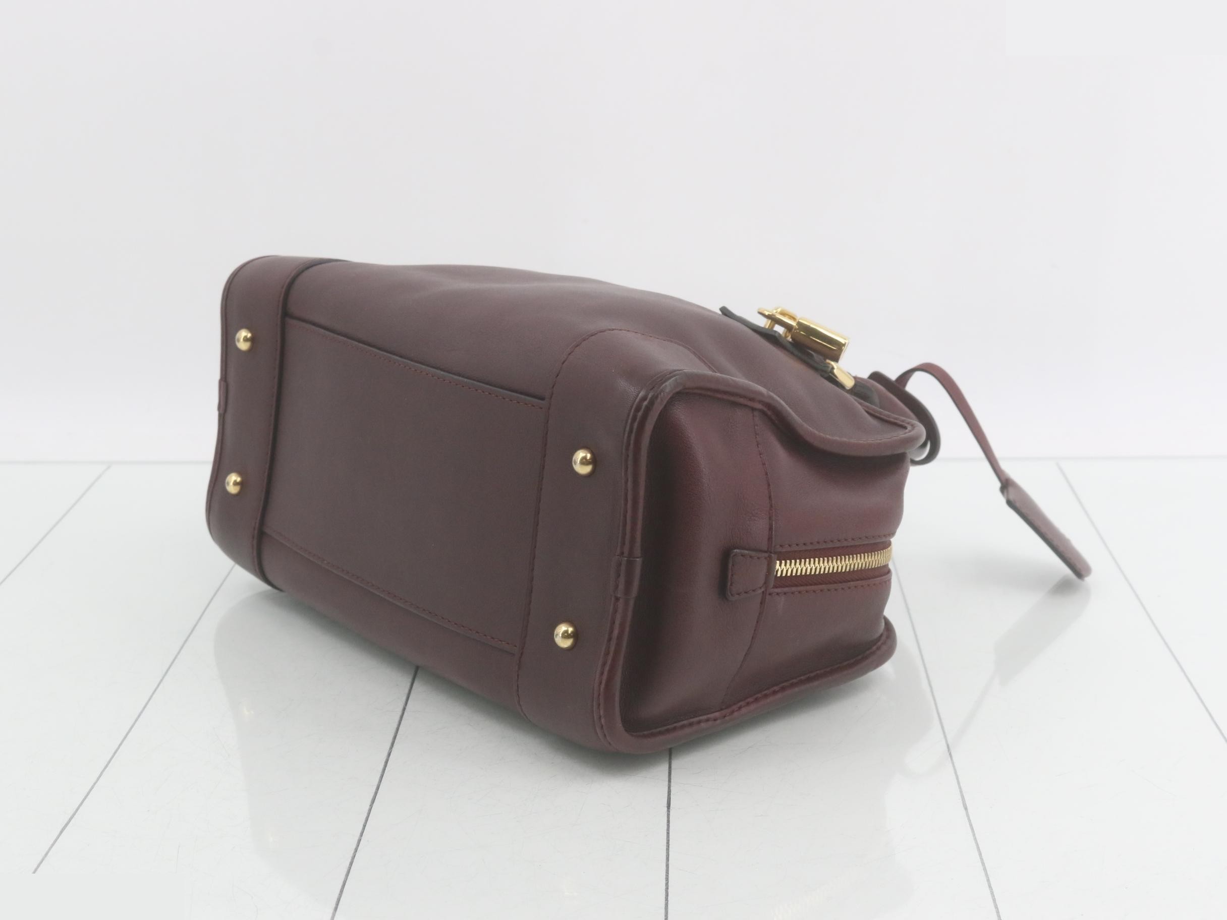 Amazona 28 Bordeaux Gold Hardware — view 6