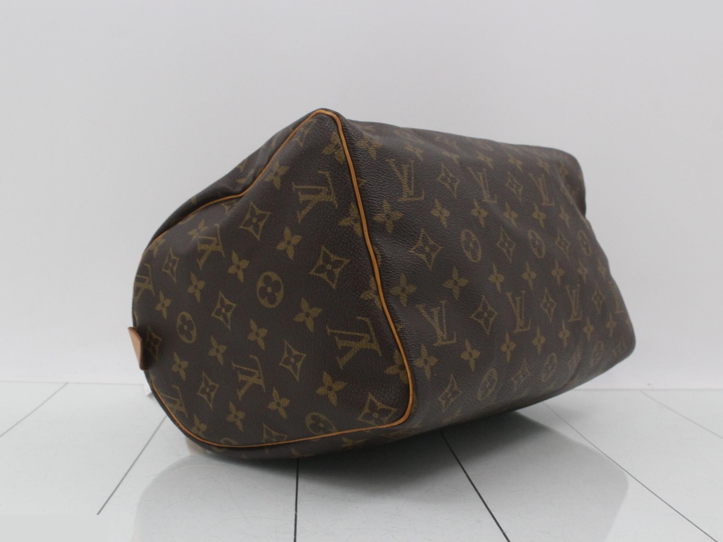 Monogram Speedy handbag — view 5