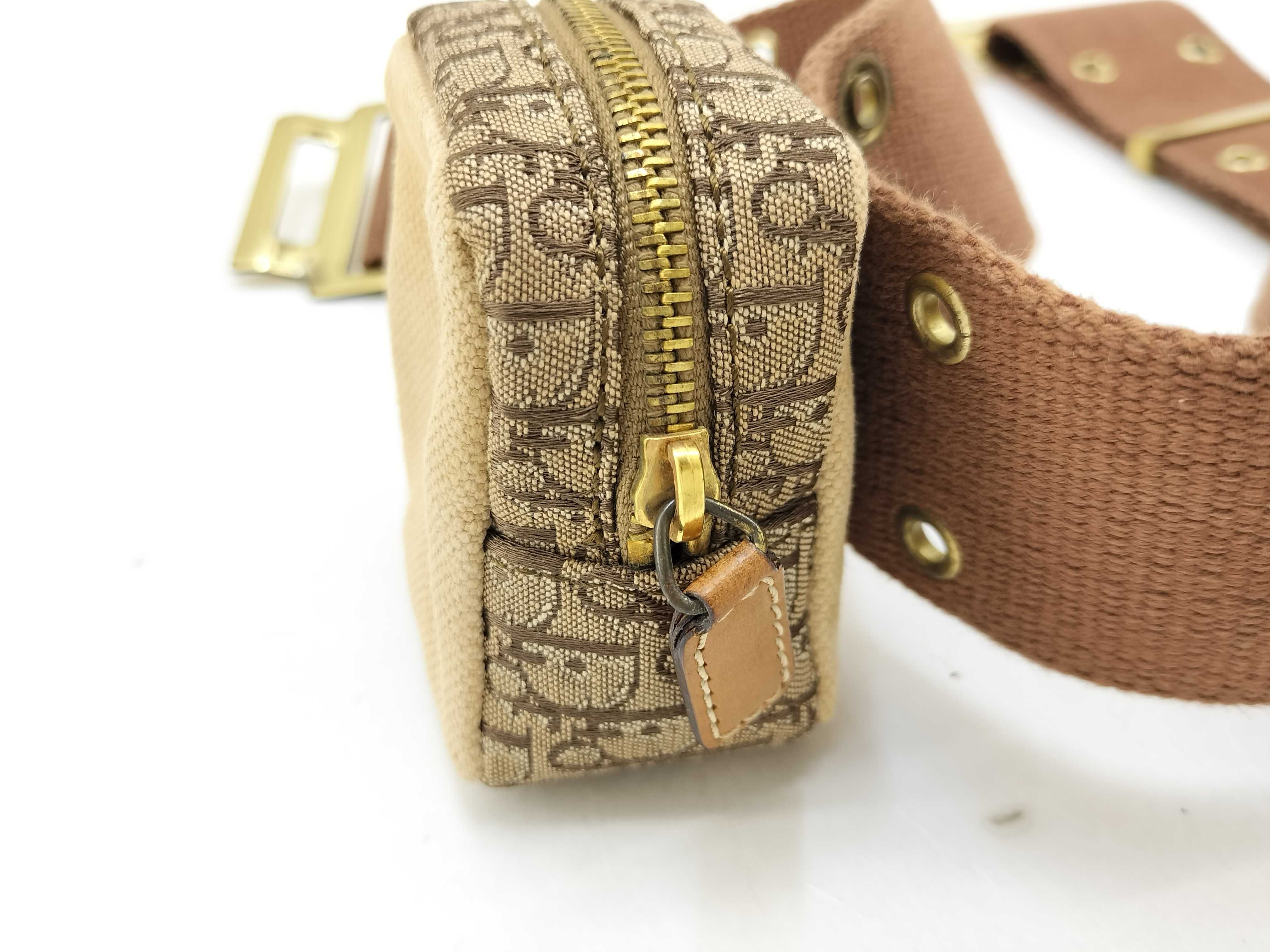 Trotter Dior Street Chic Waist Pouch Waist Bag — view 13
