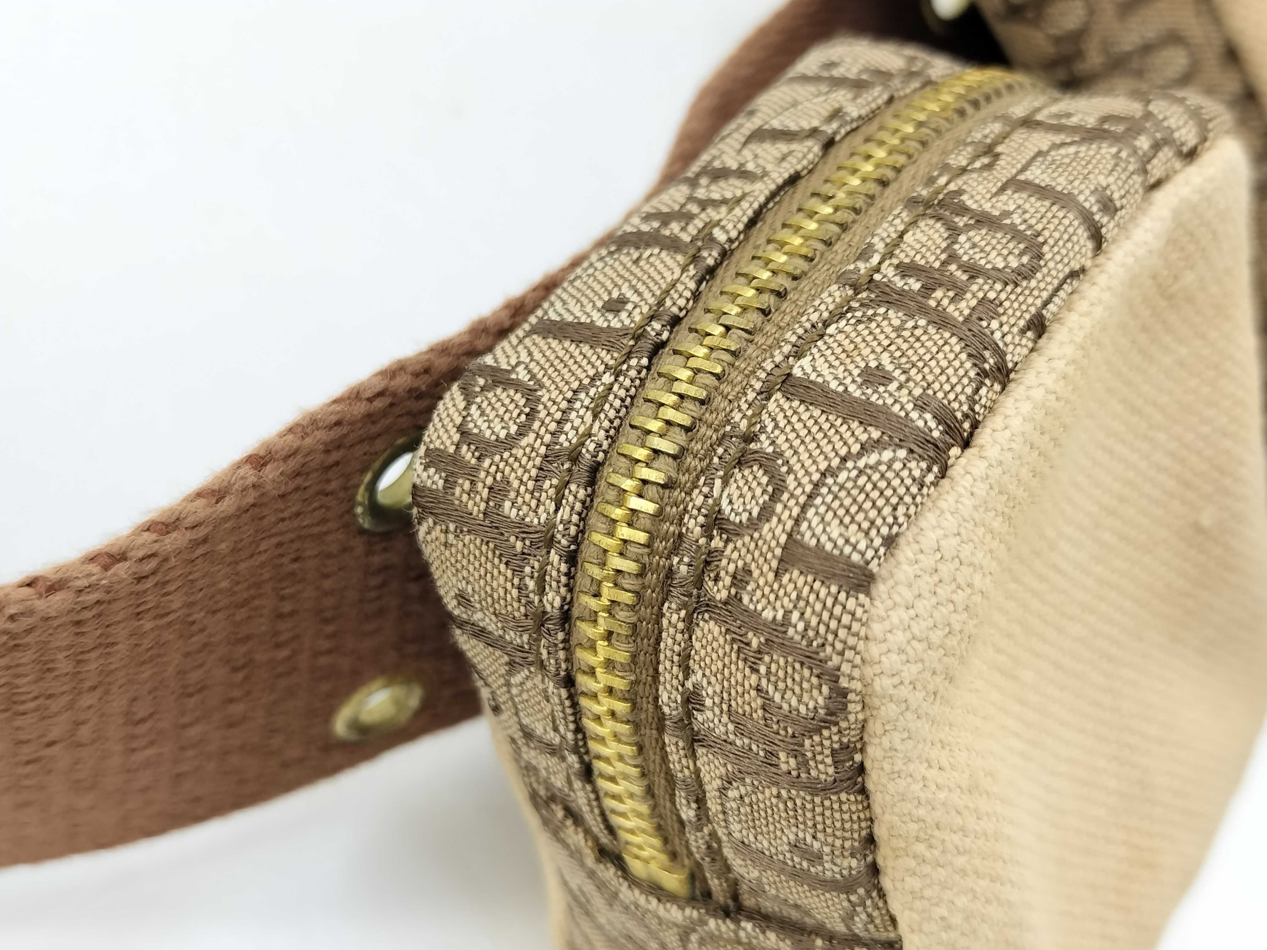 Trotter Dior Street Chic Waist Pouch Waist Bag — view 14