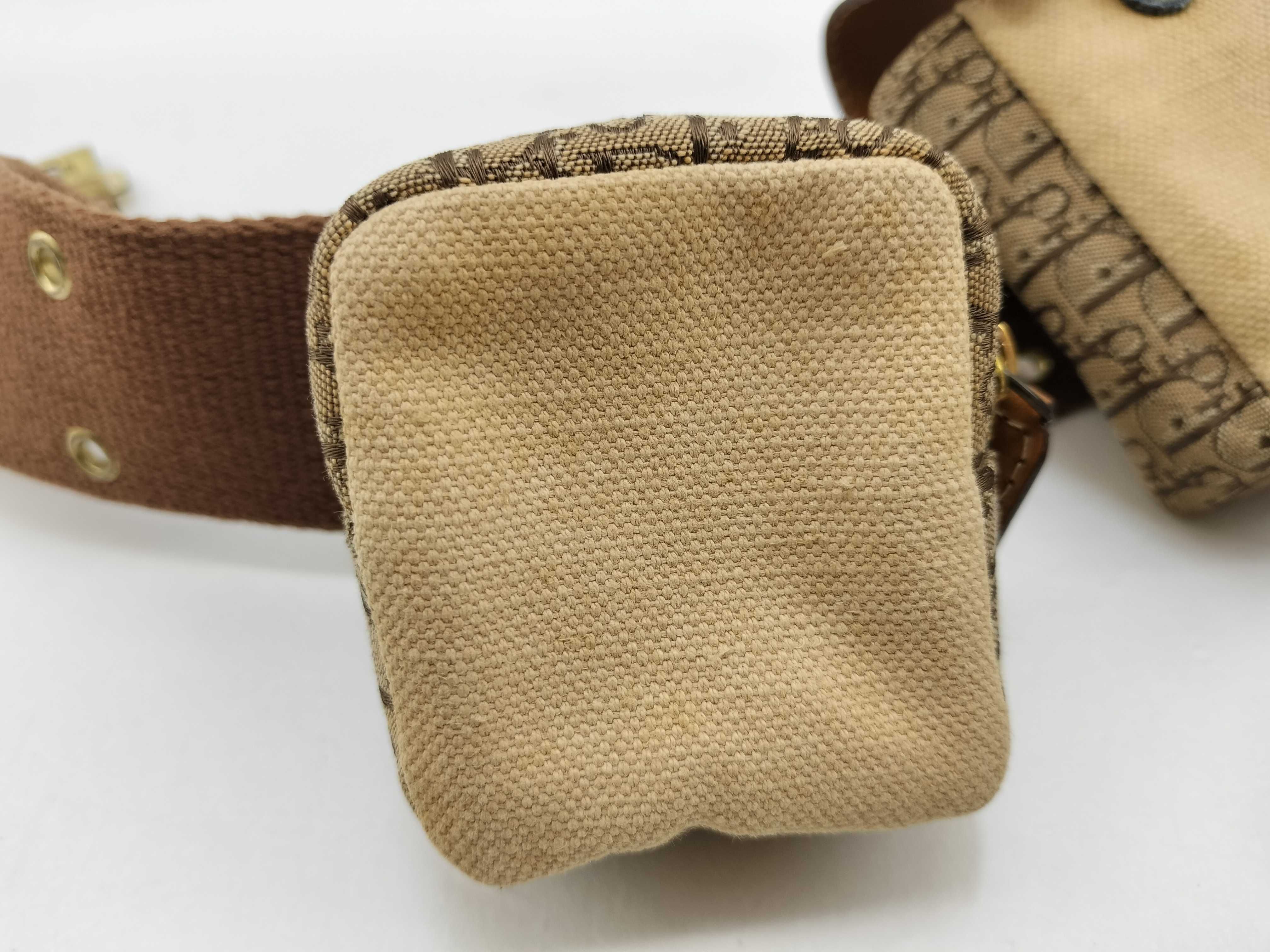 Trotter Dior Street Chic Waist Pouch Waist Bag — view 15