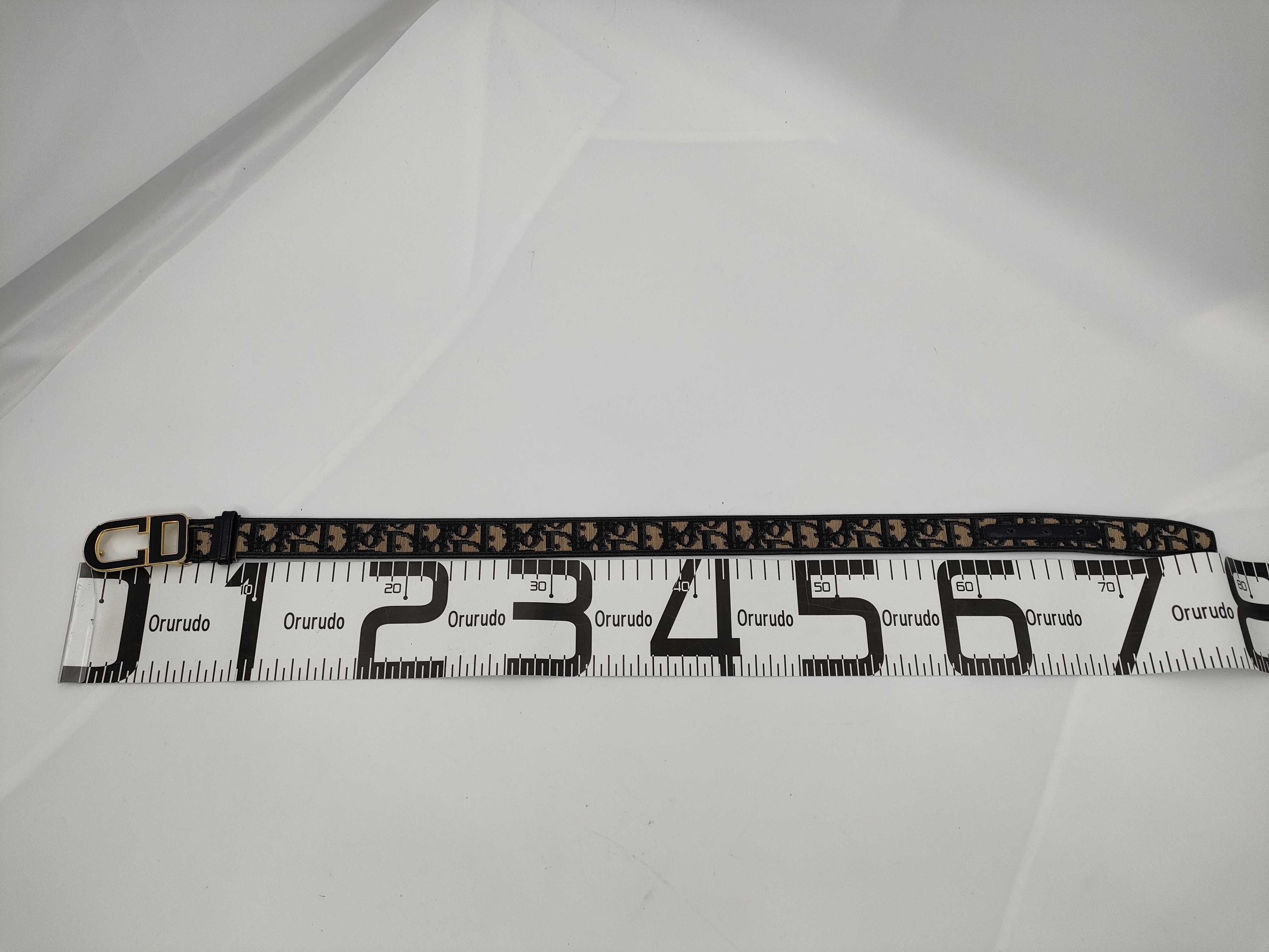 Trotter Belt — view 11