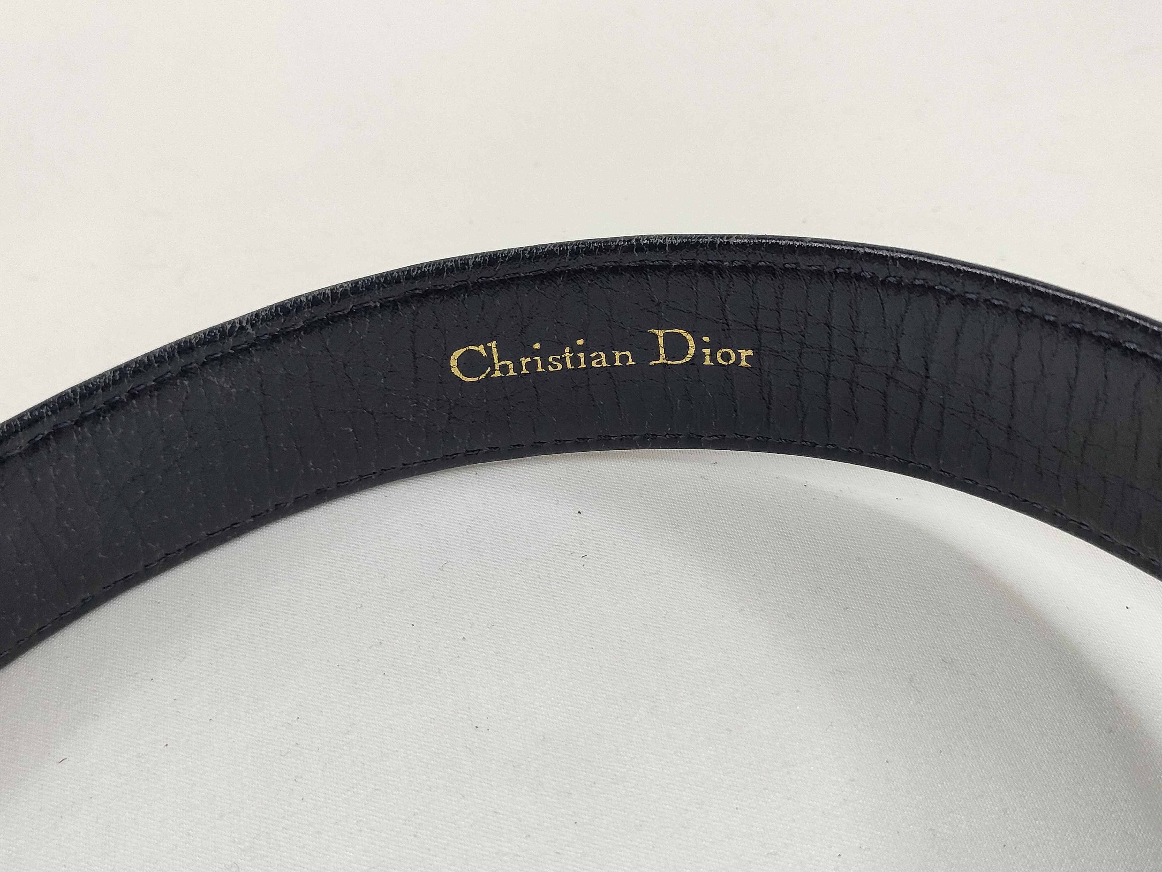 Trotter Belt — view 5