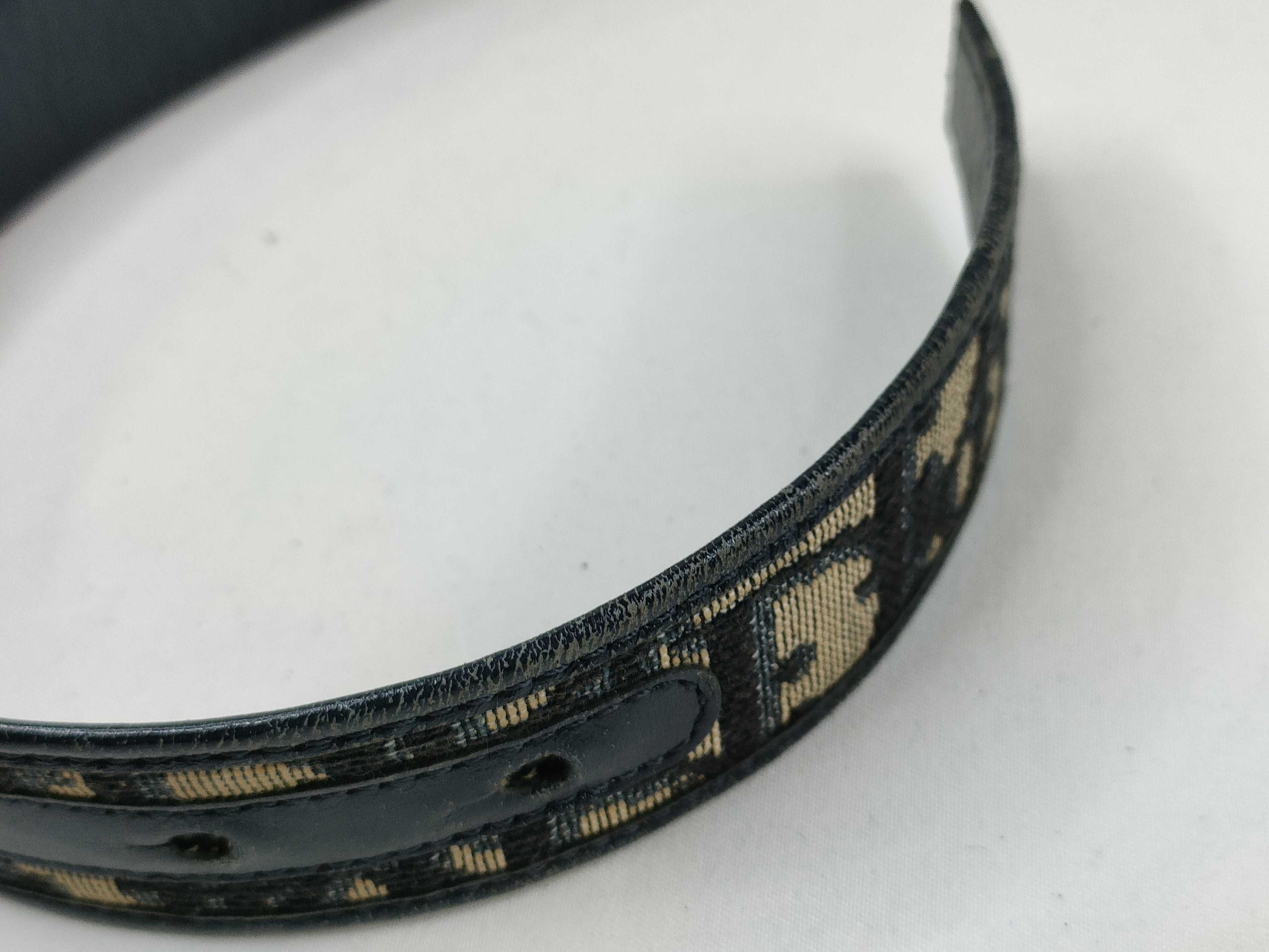 Trotter Belt — view 6