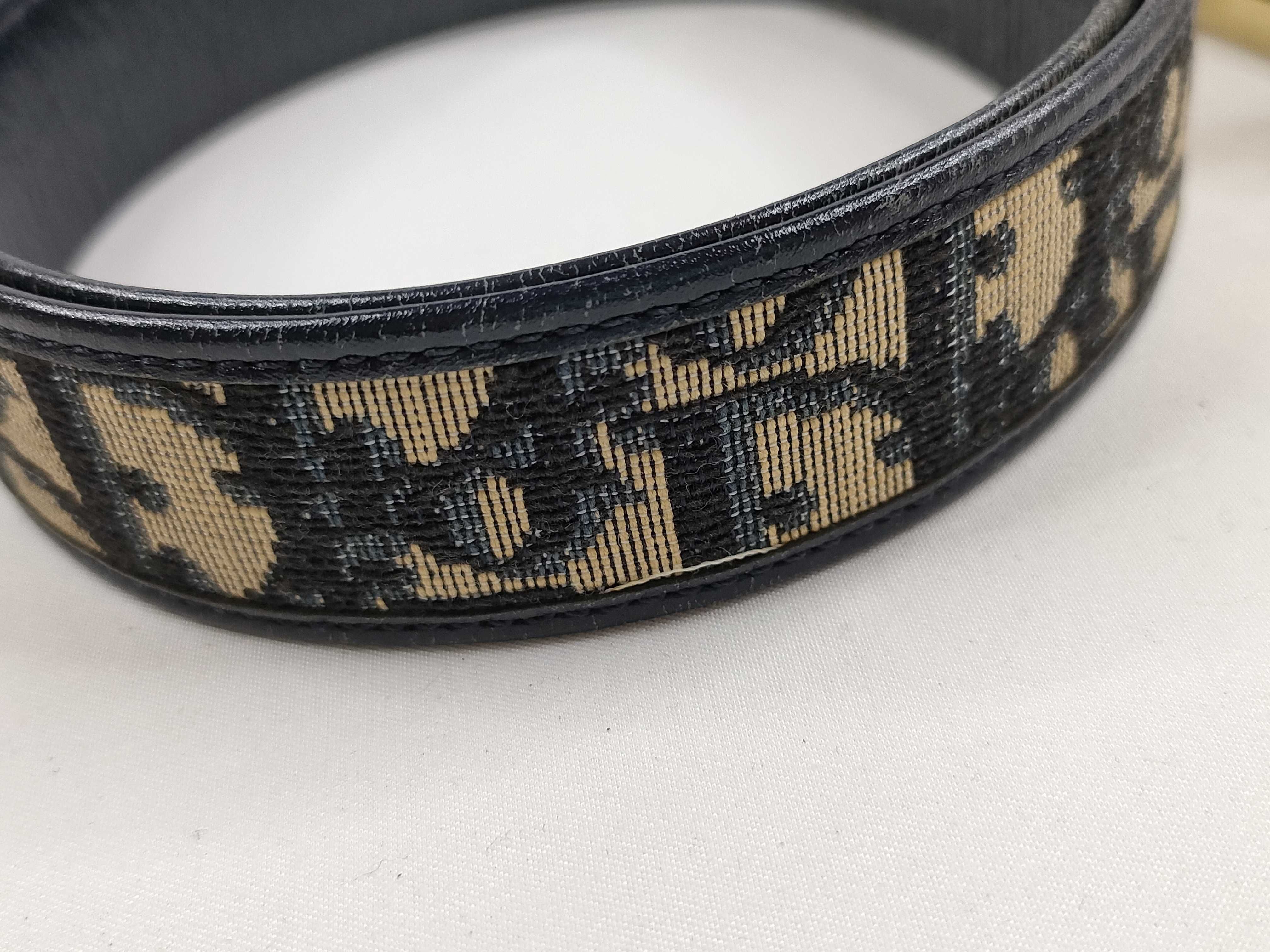 Trotter Belt — view 9
