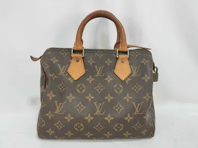 Monogram Louis Vuitton Speedy 25 Monogram Handbag Mini Boston Handbag
