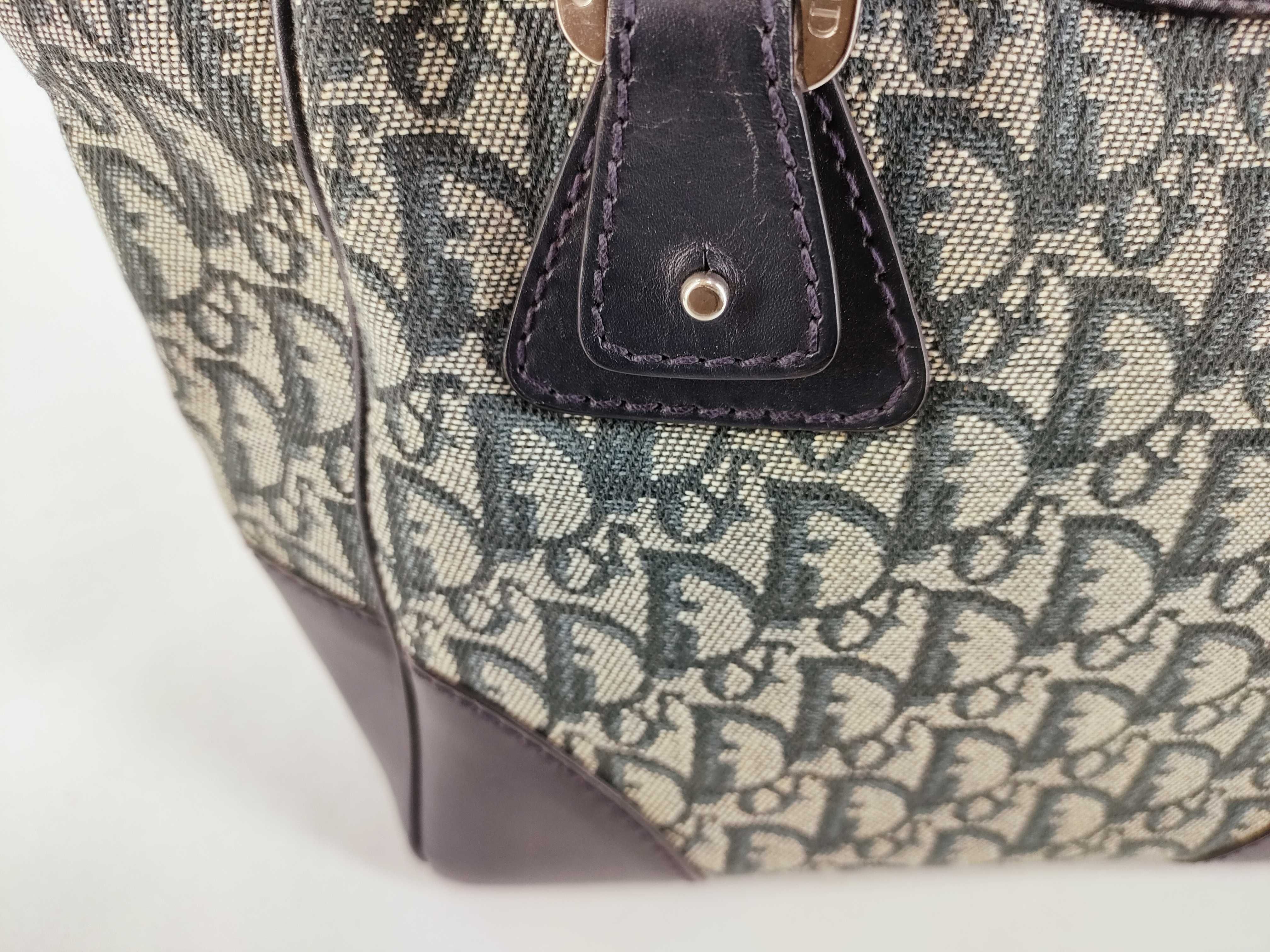 Trotter Christian Trotter pattern canvas handbag — view 13