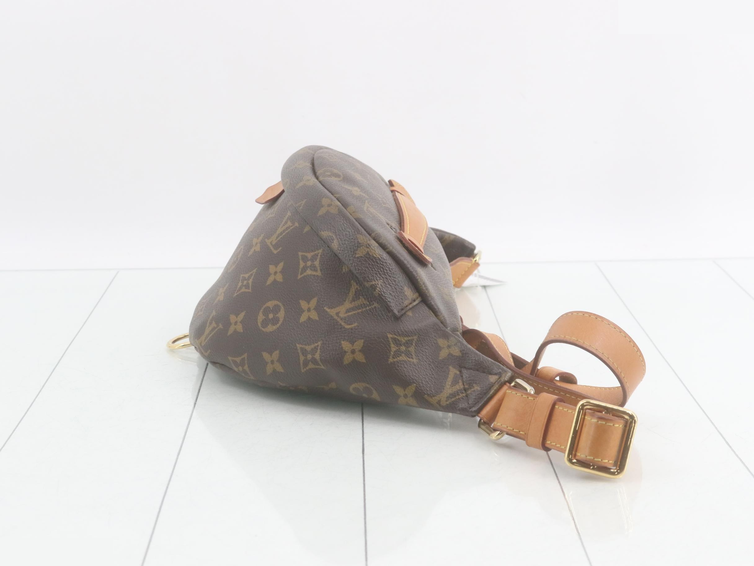 Monogram Bum Bag Waist Bag — view 3