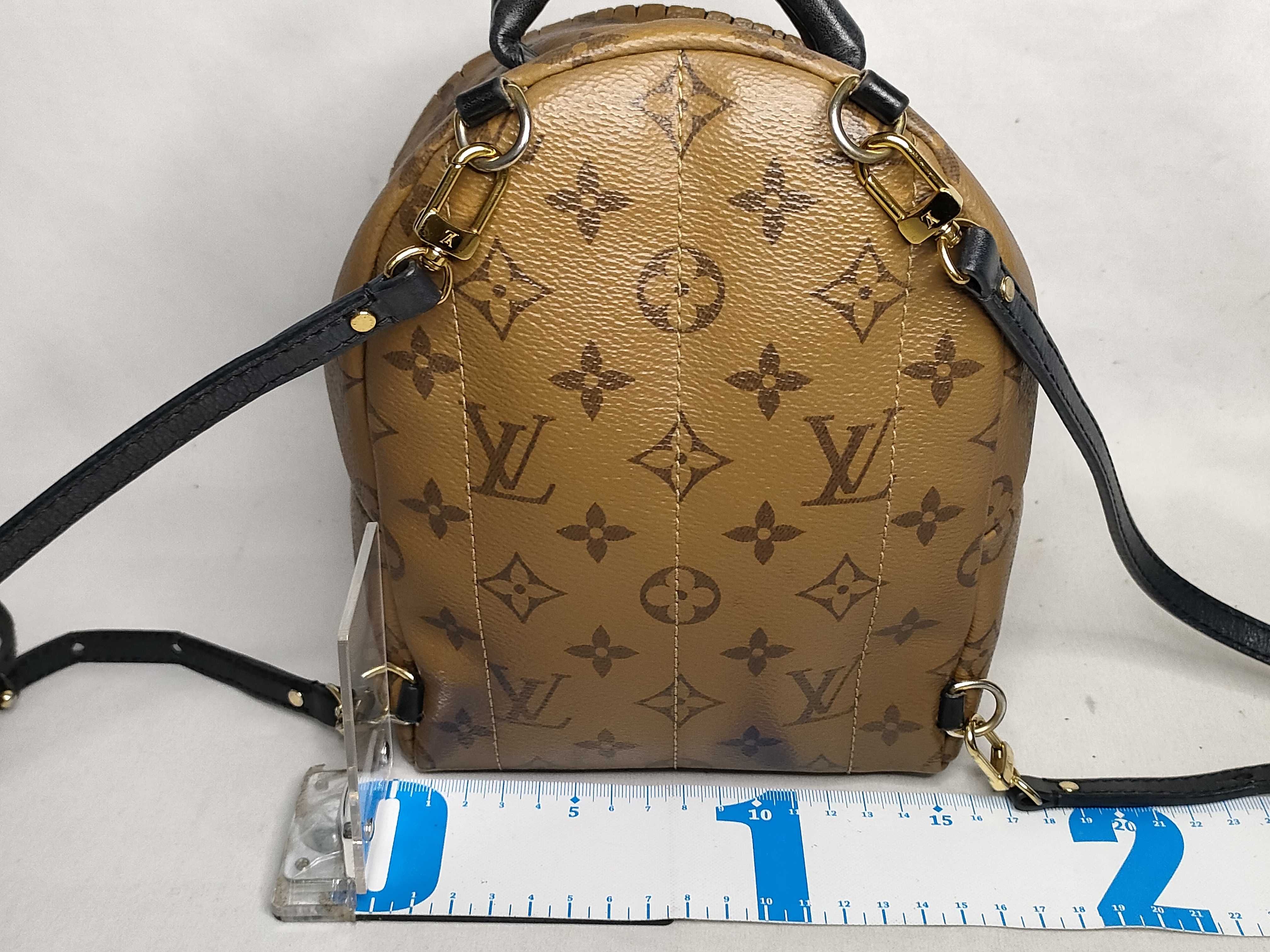 Monogram Reverse Palm Springs Backpack MINI FL1129 Rucksack — view 2