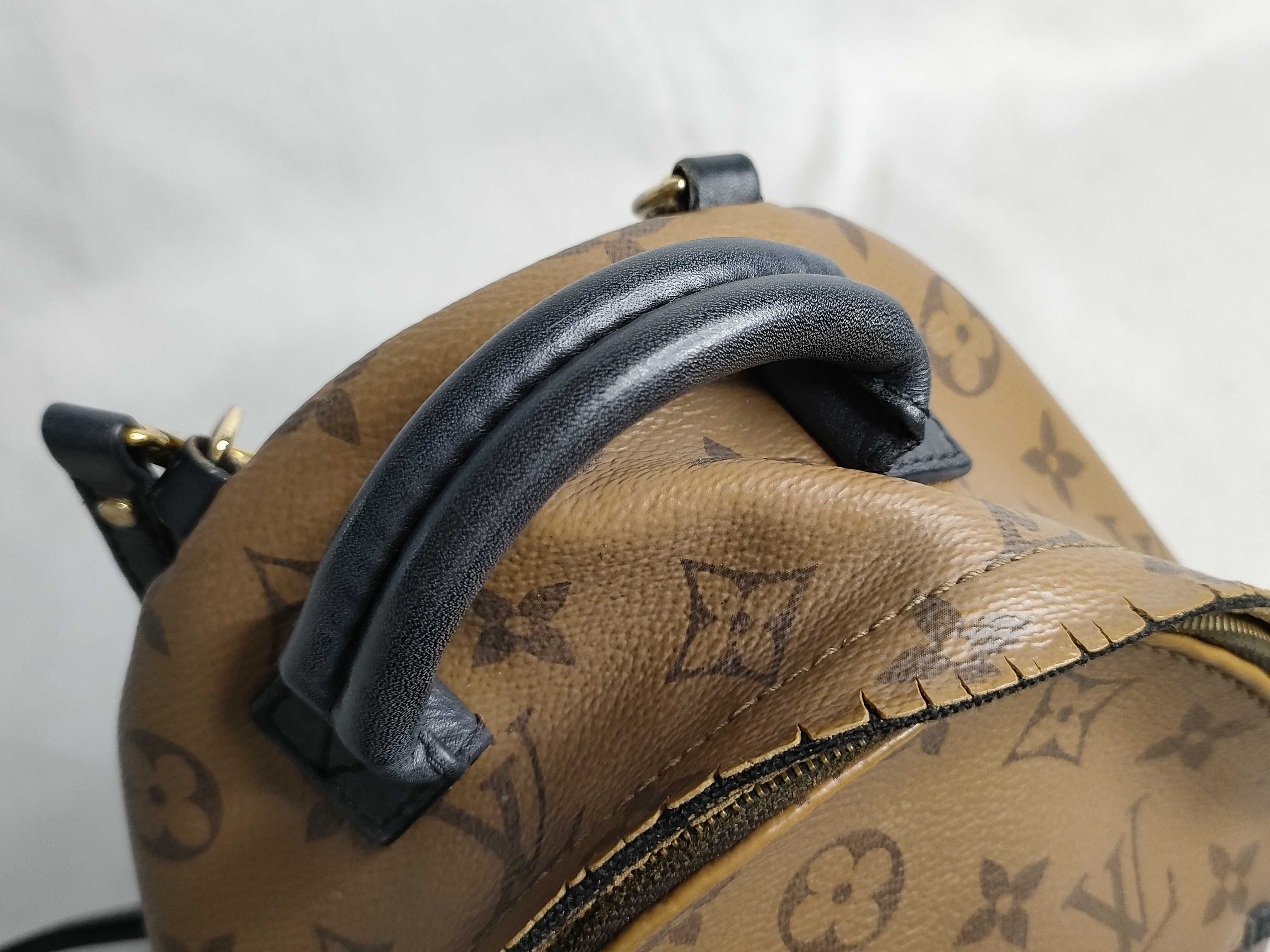Monogram Reverse Palm Springs Backpack MINI FL1129 Rucksack — view 6
