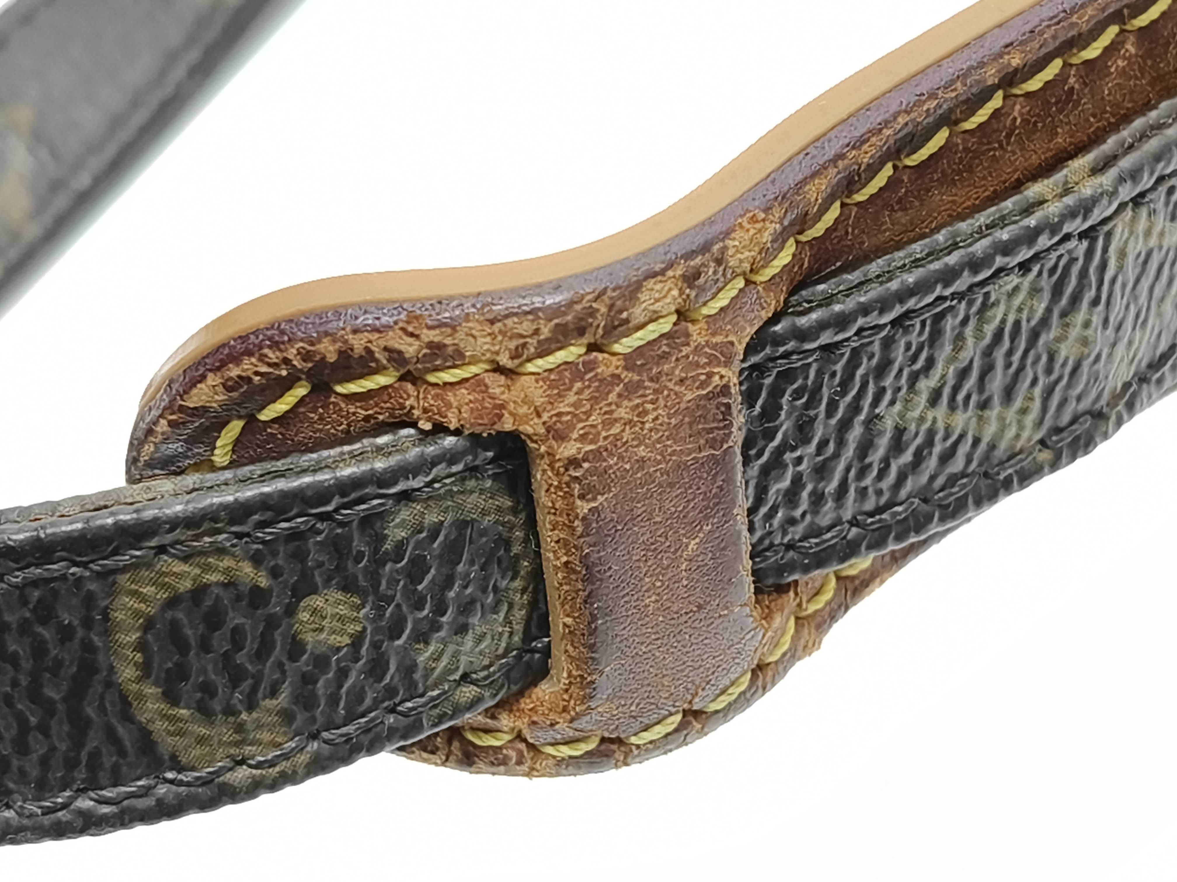 Monogram Louis Vuitton Monogram Amazon M45236 Shoulder Bag — view 4