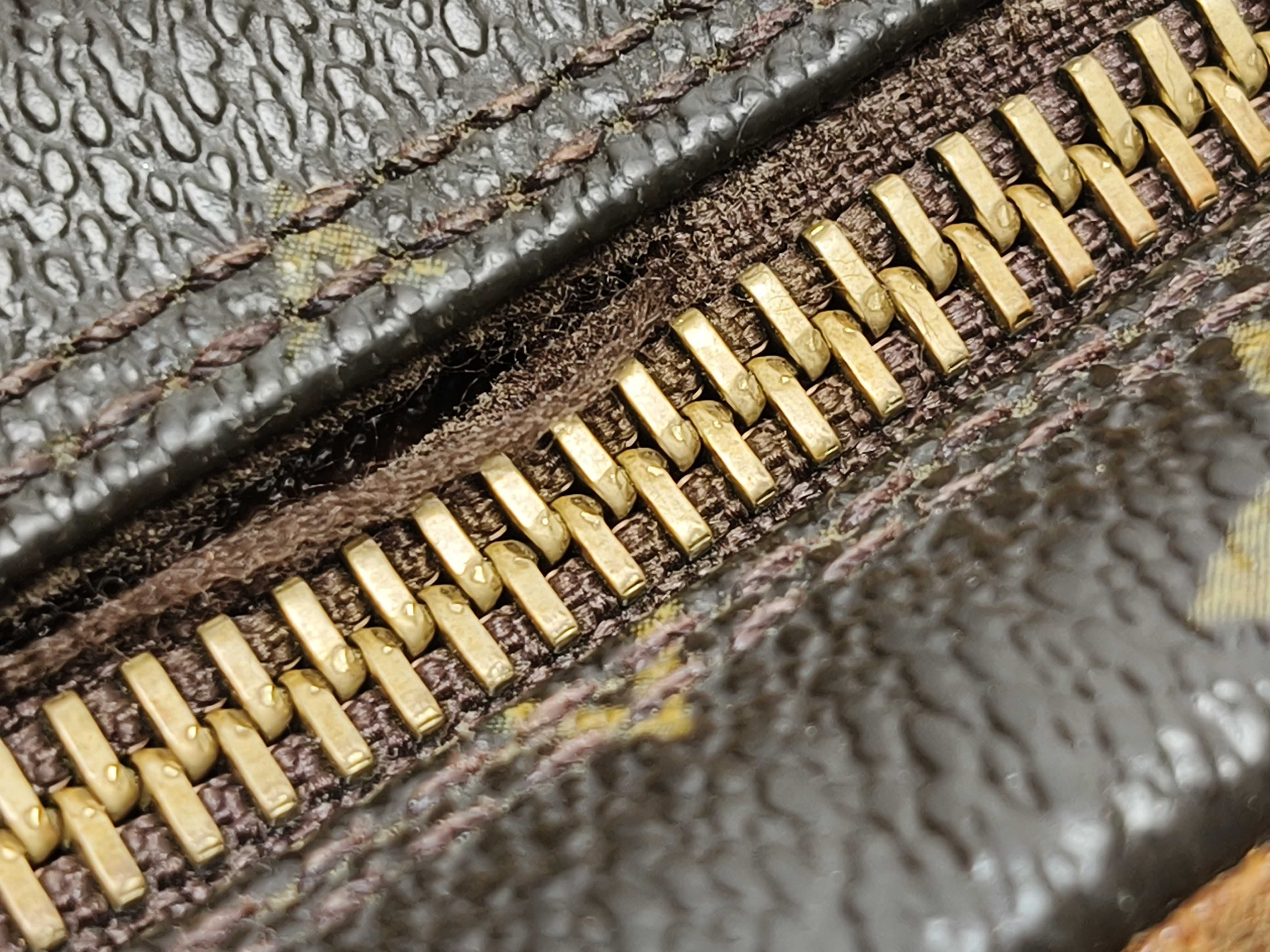 Monogram Louis Vuitton Monogram Amazon M45236 Shoulder Bag — view 6