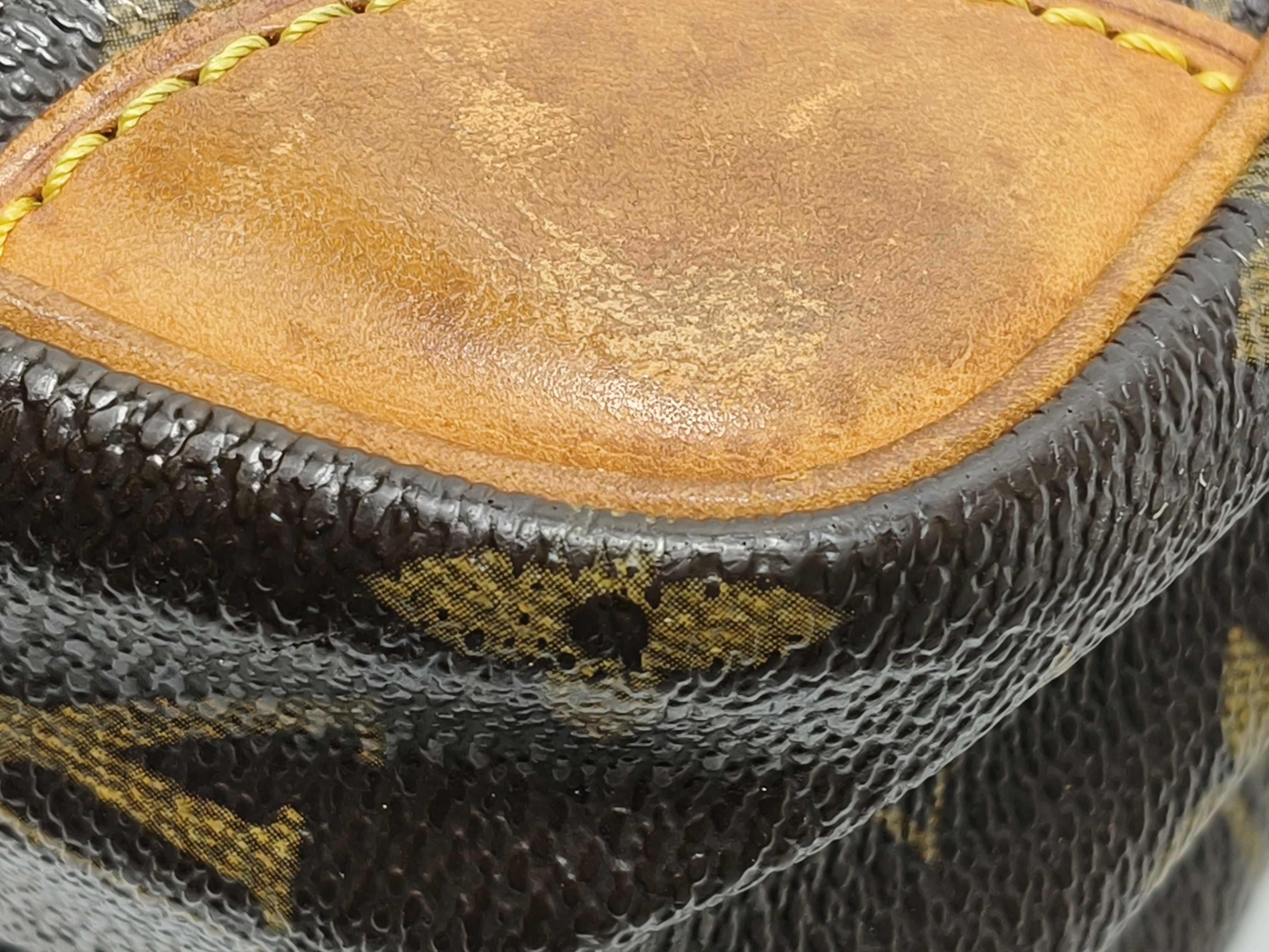 Monogram Louis Vuitton Monogram Amazon M45236 Shoulder Bag — view 7