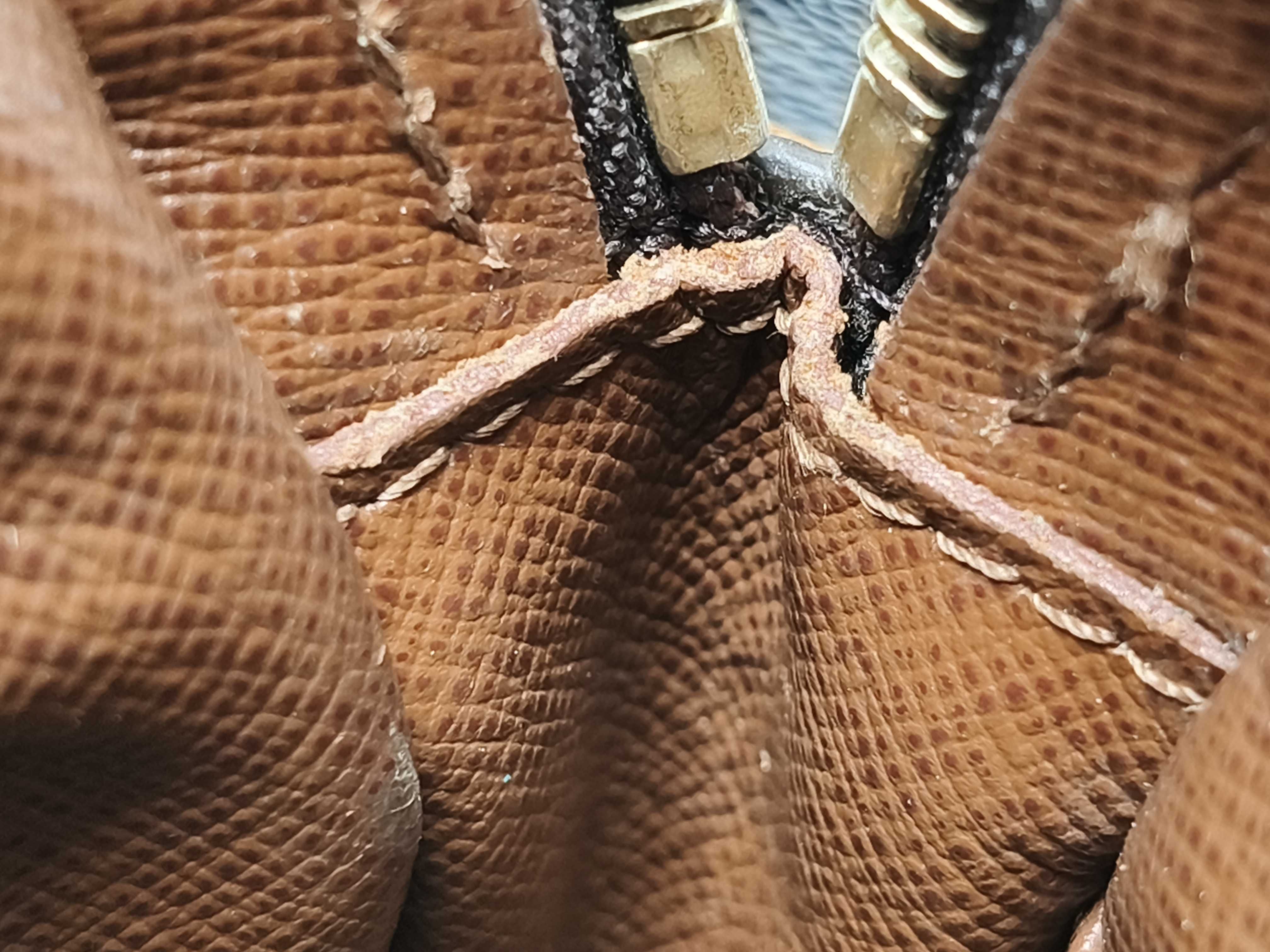 Monogram Louis Vuitton Monogram Amazon M45236 Shoulder Bag — view 9