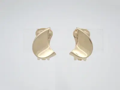Other lines: Precious metals and earrings