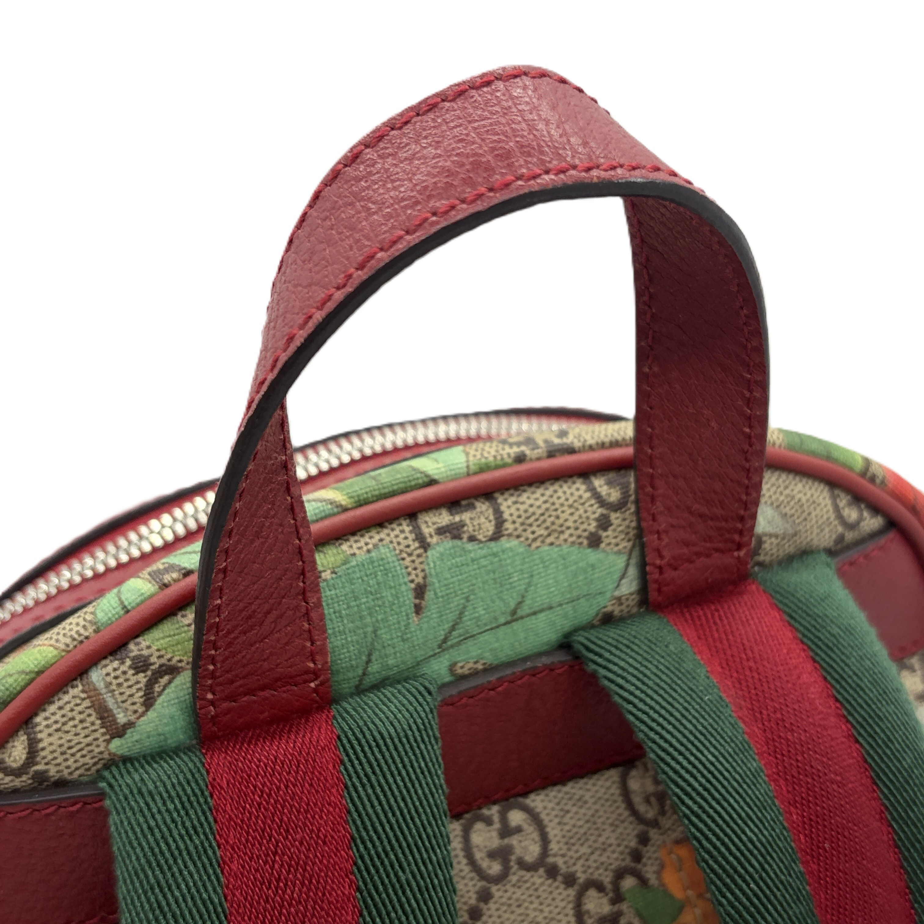 Gucci GG Supreme Tian Print Backpack/Rucksack — view 9