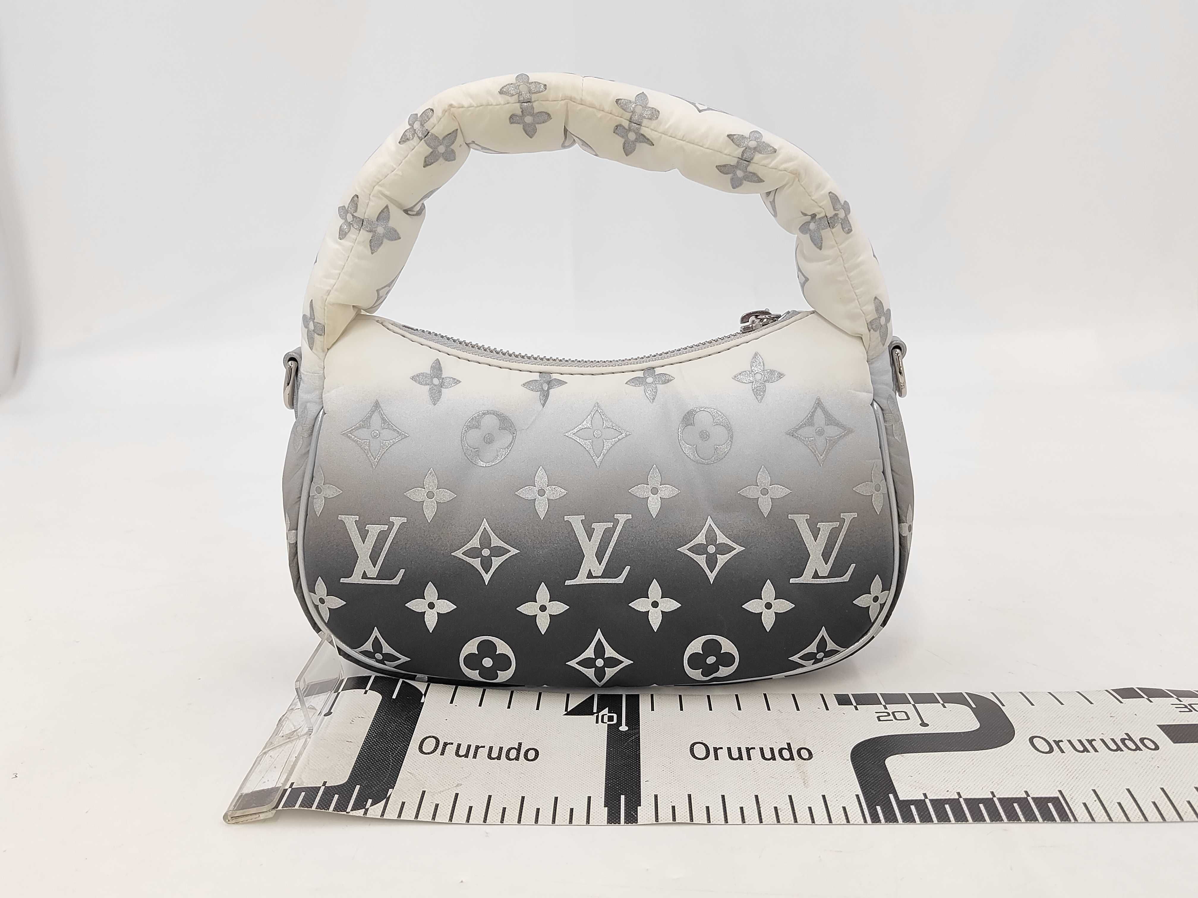 LV SKI Mini Moon M11896 Gray Handbag — view 2